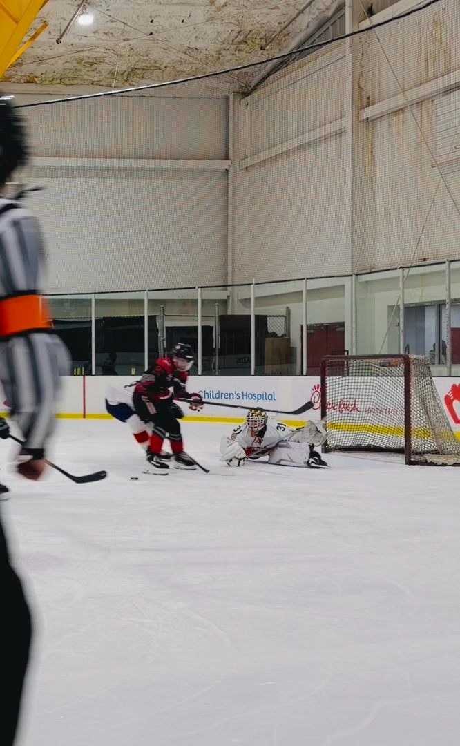 James Sklavounos: Highlight Reel of Impressive Saves with Florida Panthers 14AA