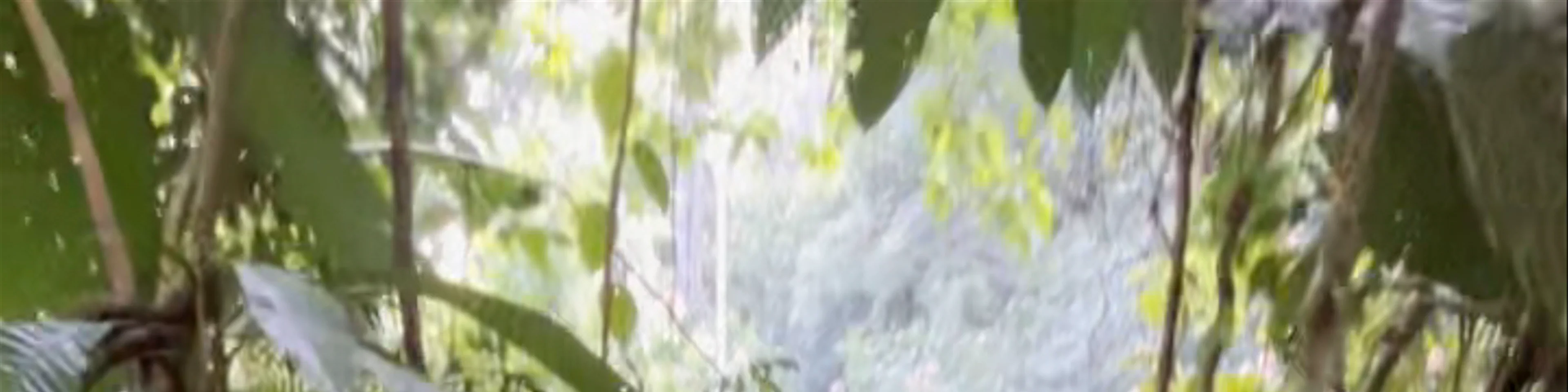 Bri Bri waterfalls