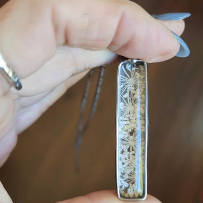 Preview image for video