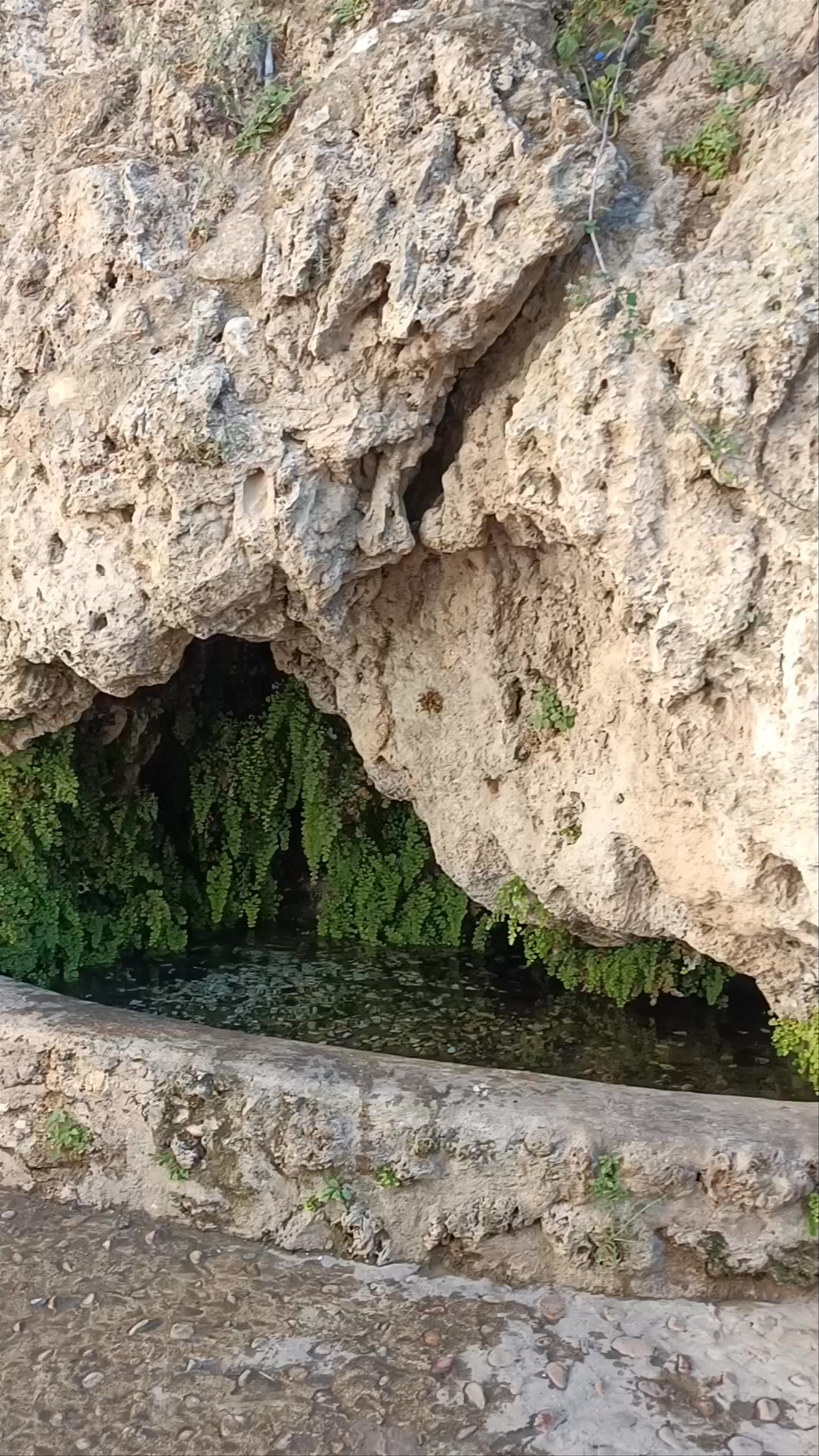 Arco de las Moreras: Hidden Natural Spring in Letur, Spain