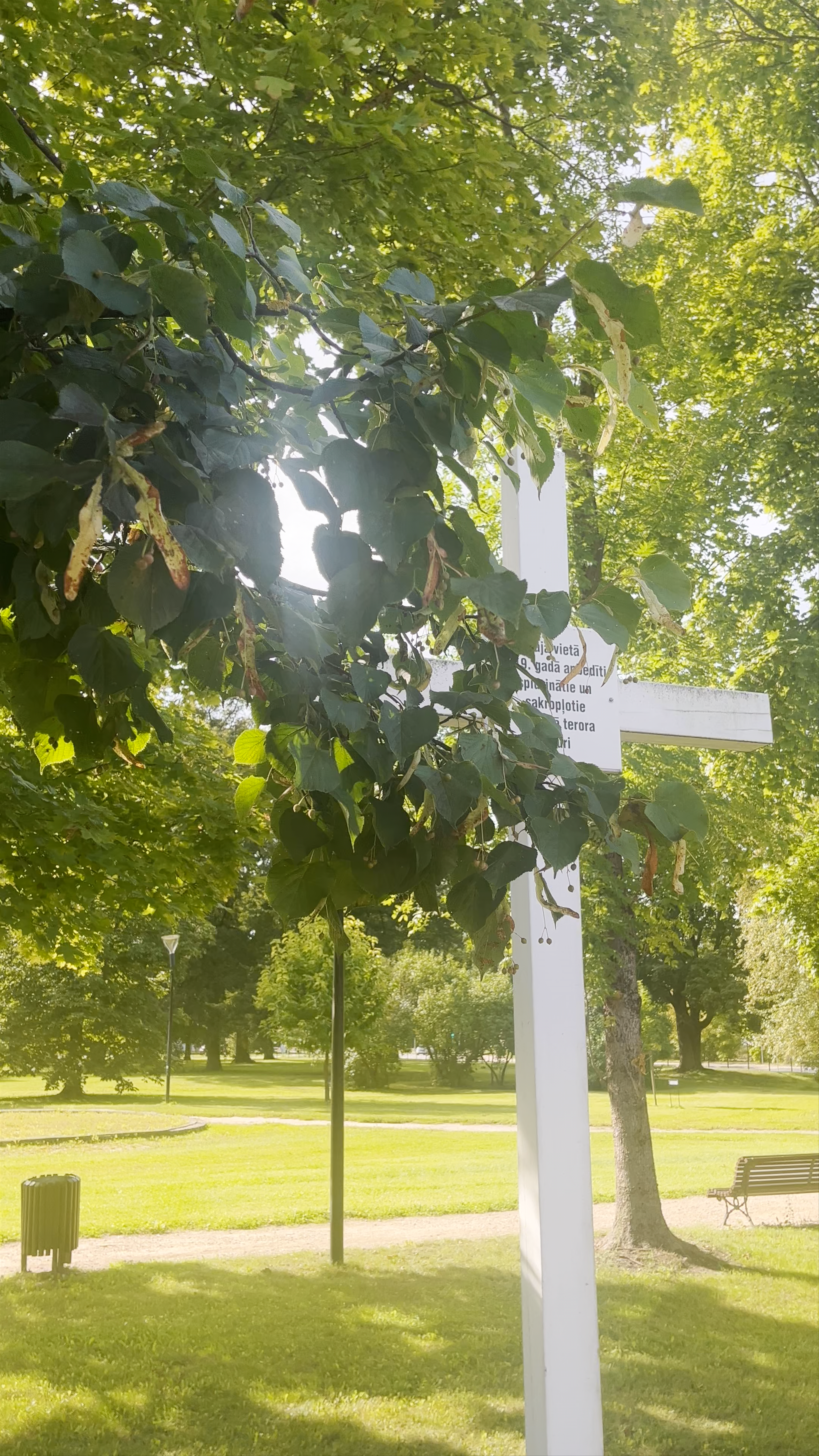 Stacijas Parks: A Serene Green Escape in Jelgava, Latvia