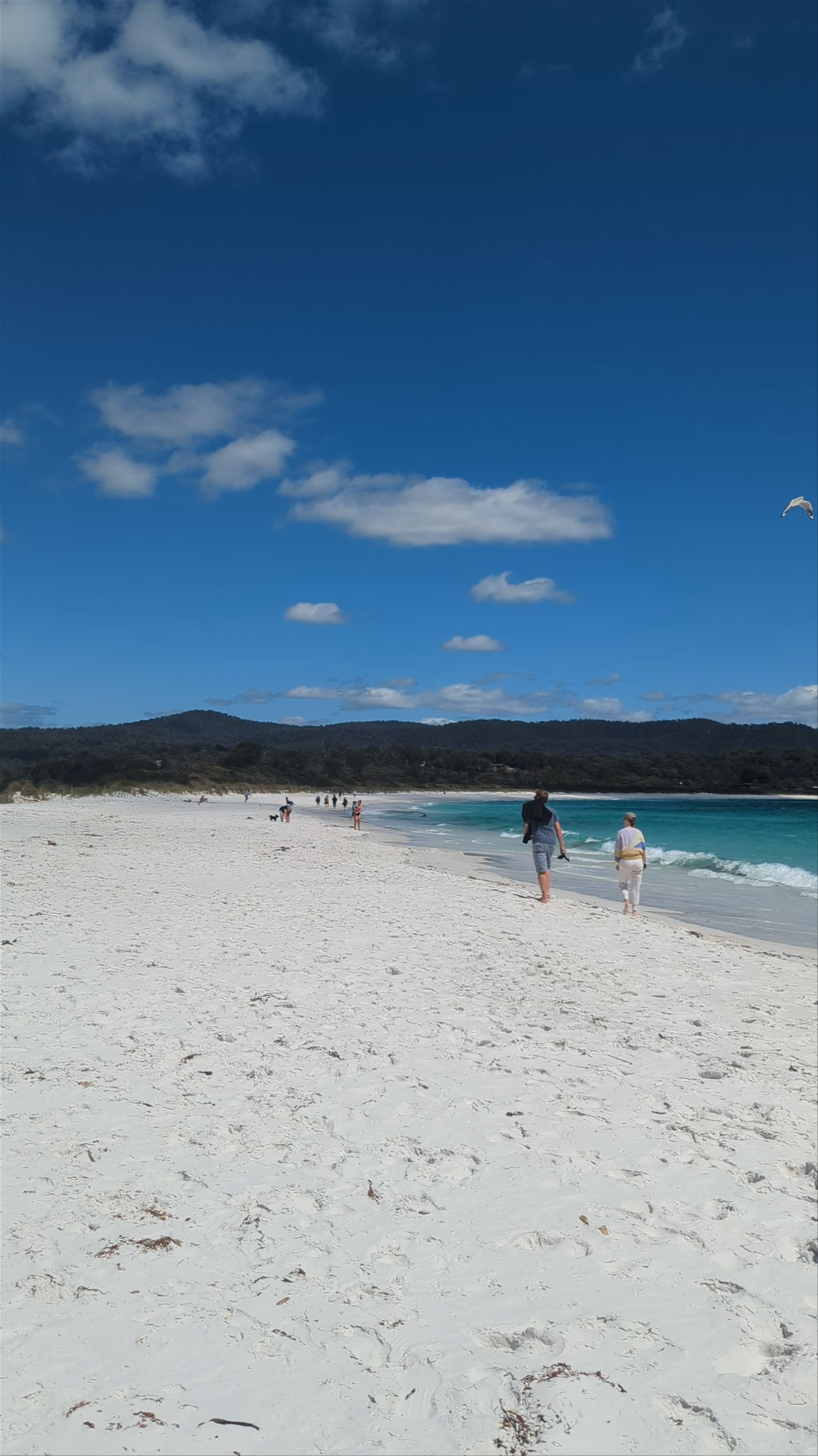 Binalong Bay beach