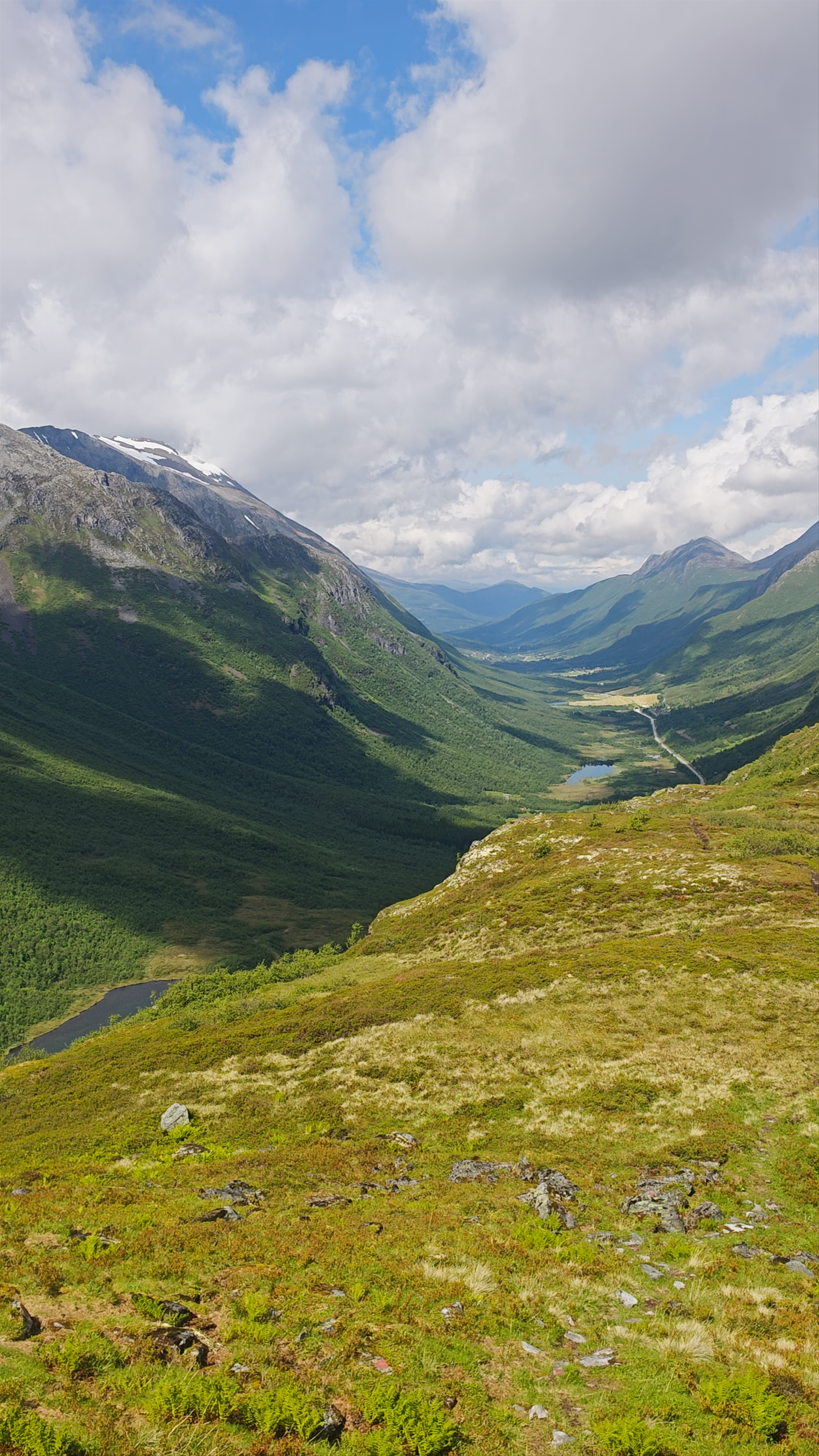Båsenibba
