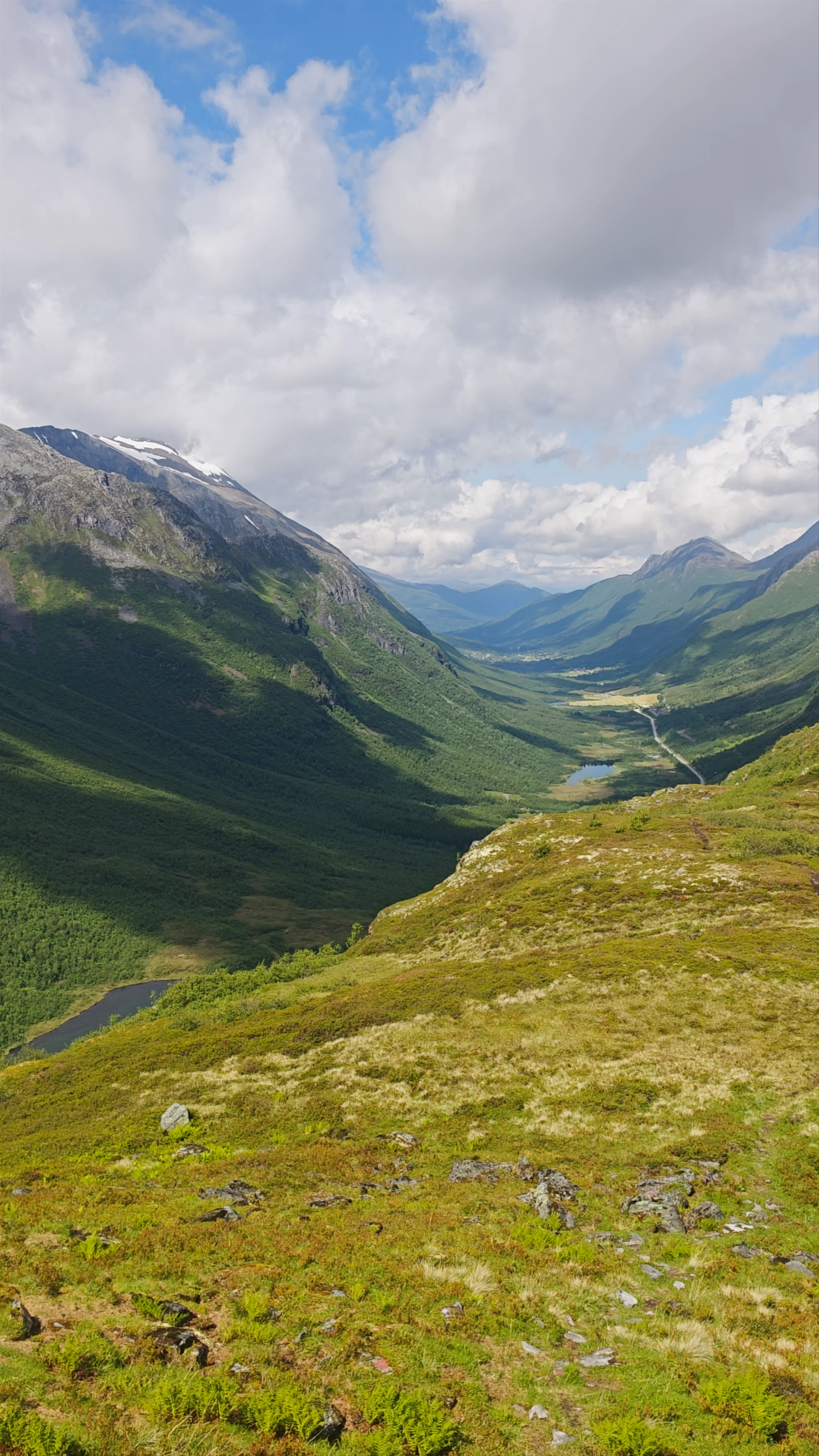 Båsenibba