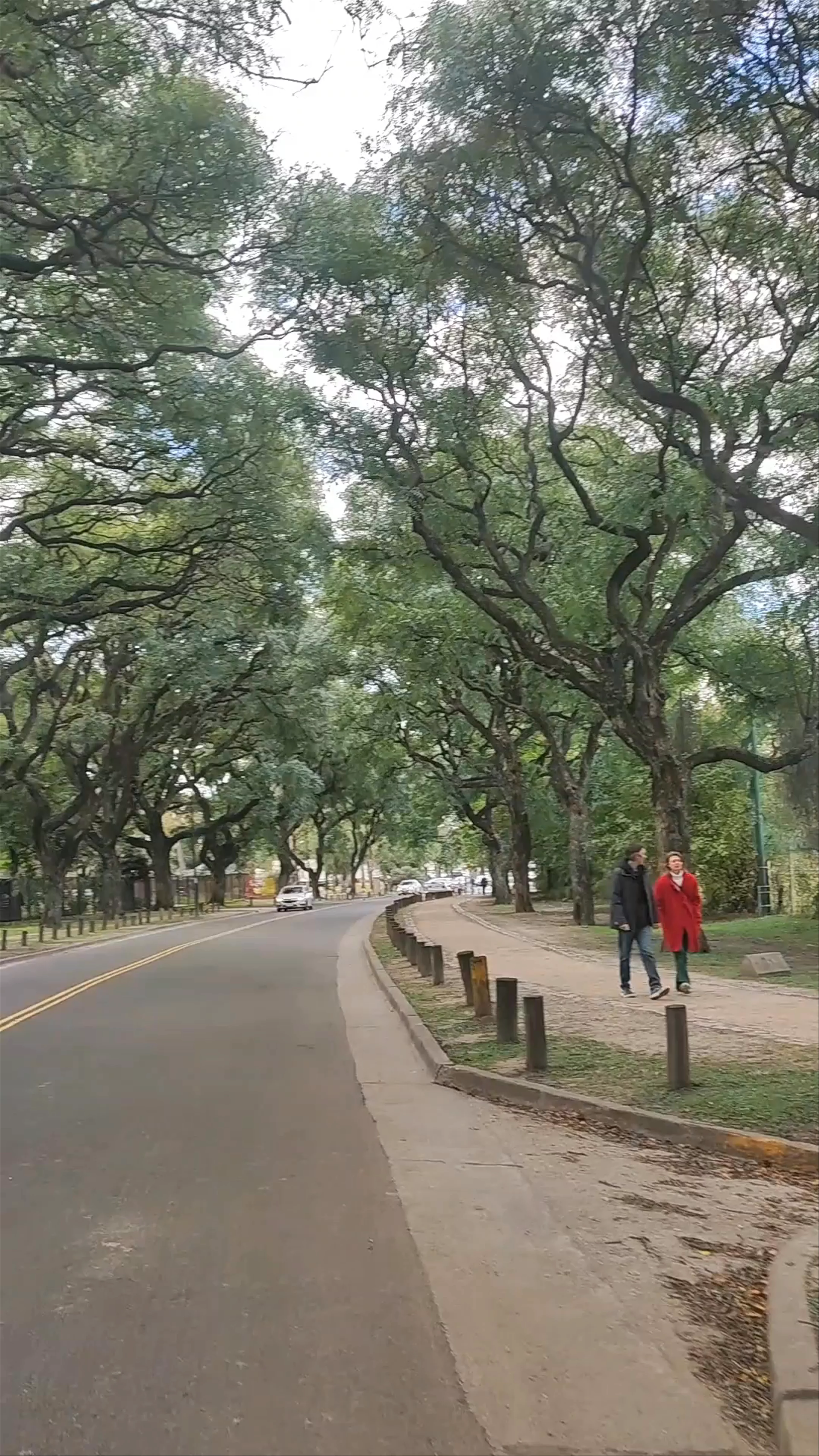 Paseo El Rosedal Garden