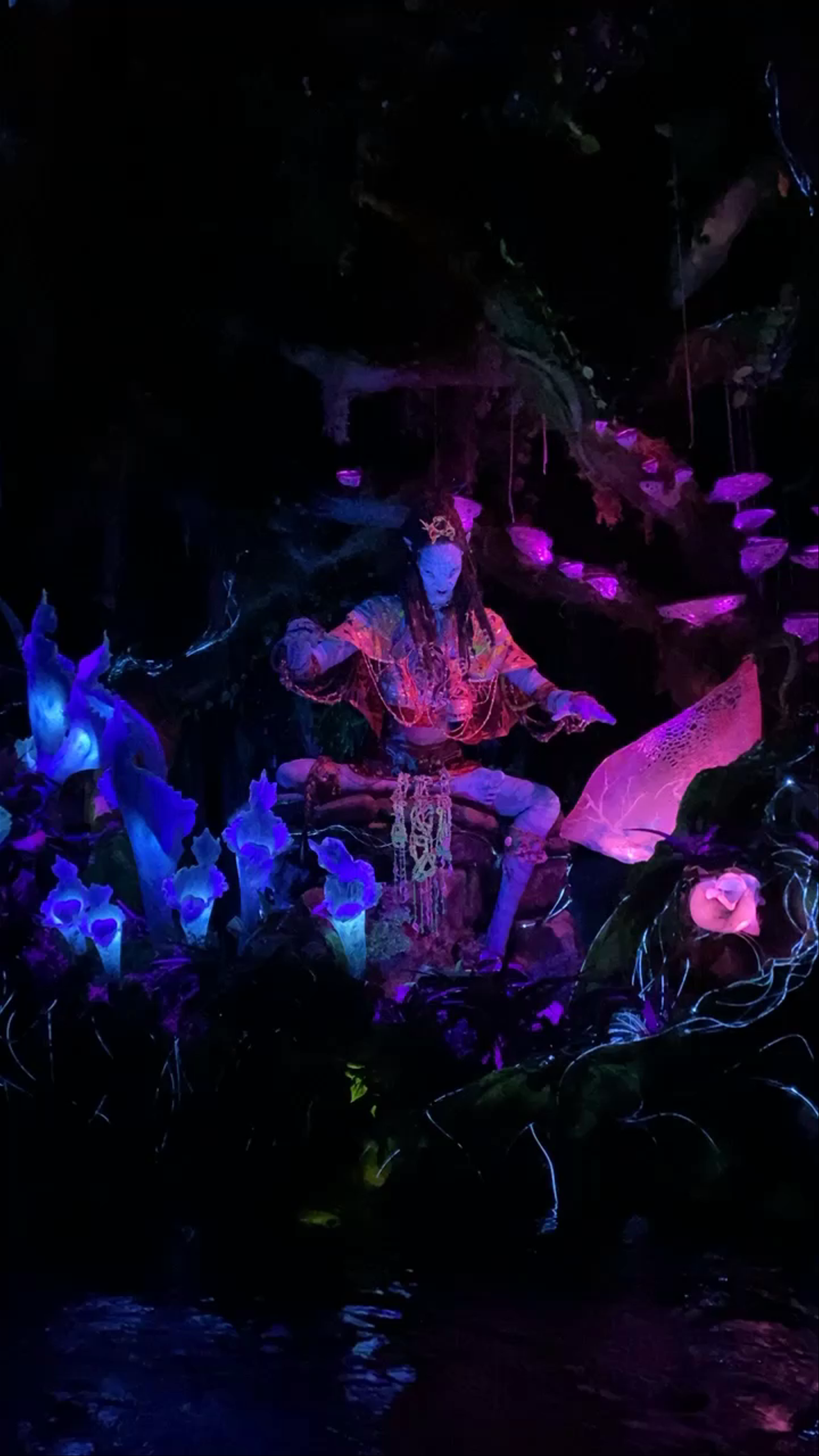 Pandora - The World of Avatar