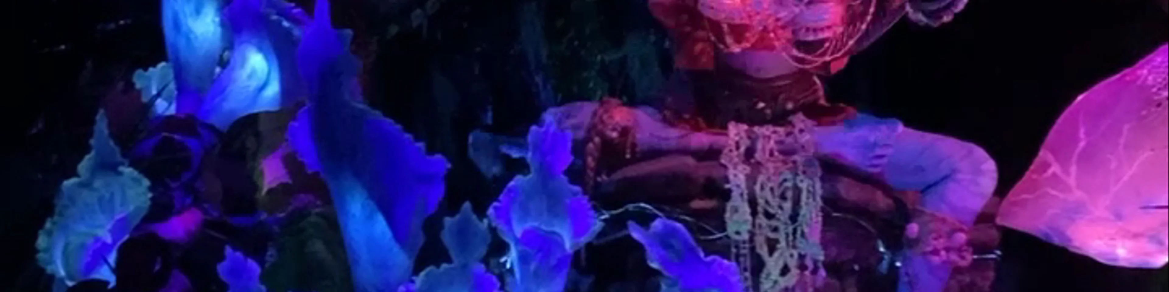 Pandora - The World of Avatar