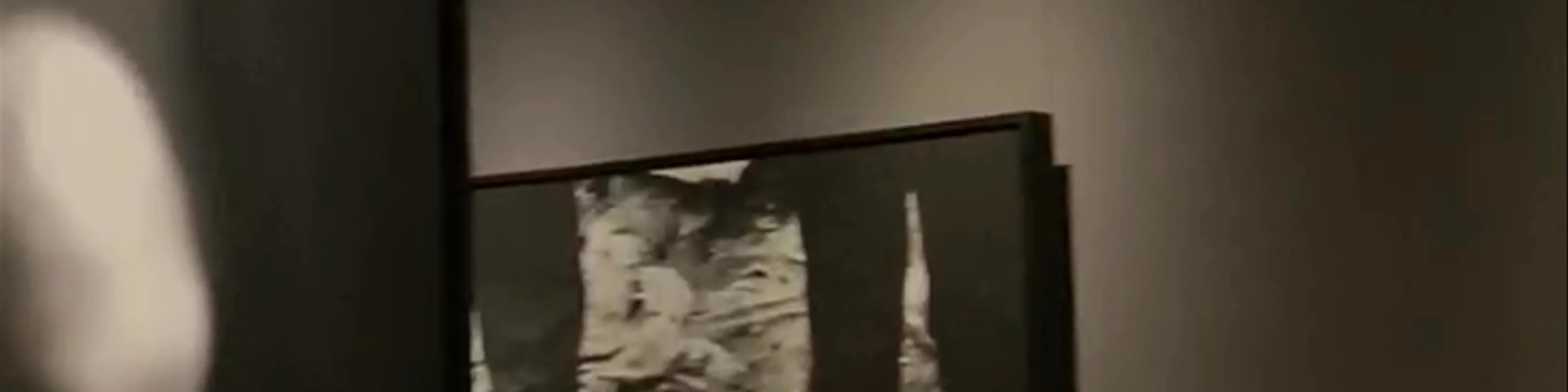 Gallery 11/07/95