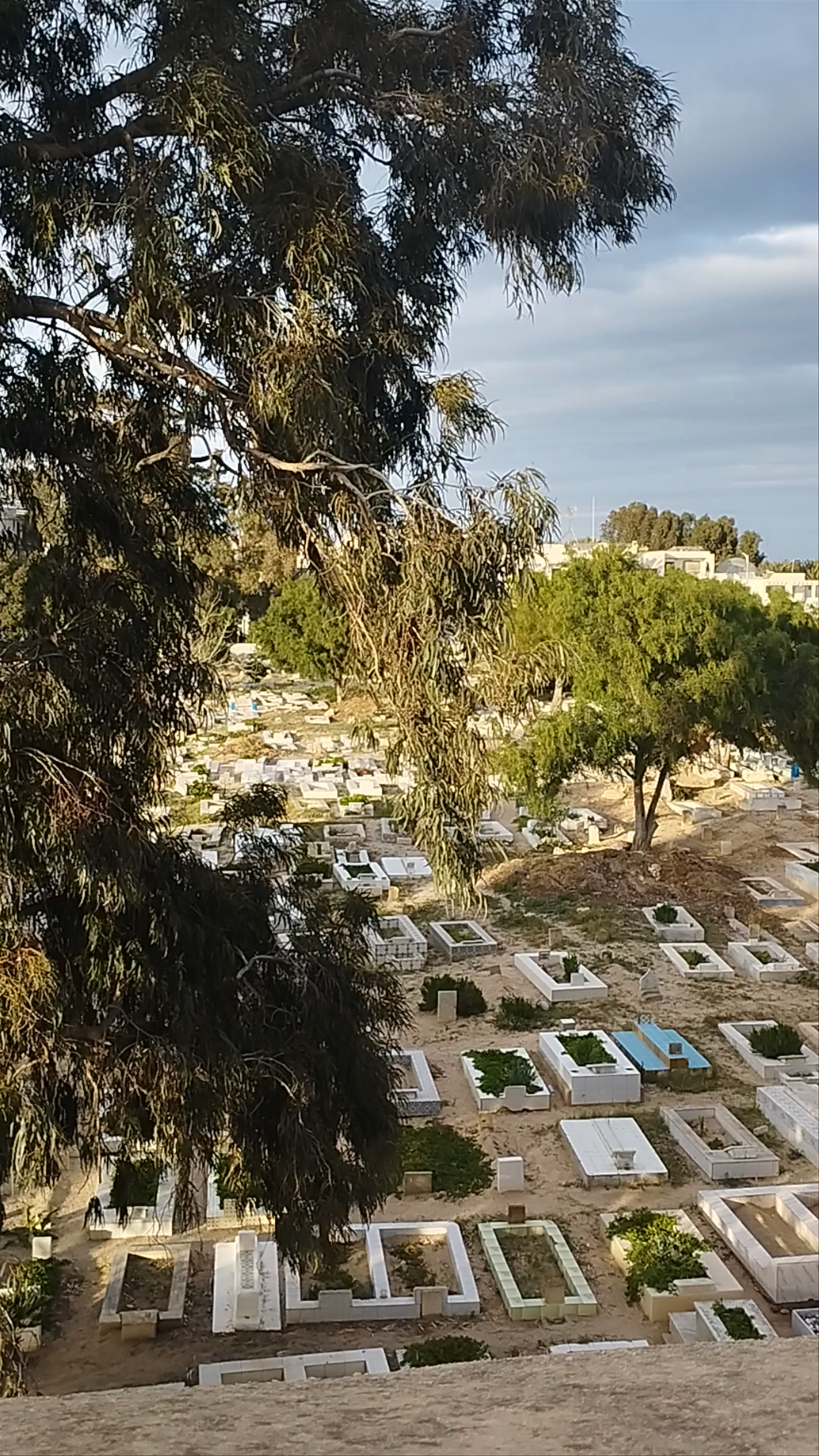 Cimetière sidi dhrif