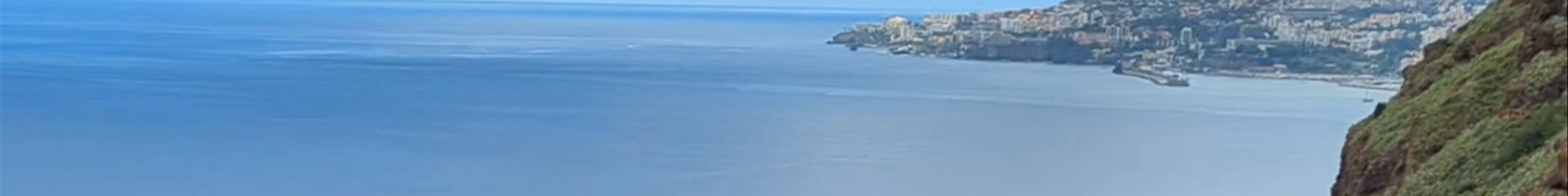 Tours & experiences in Funchal