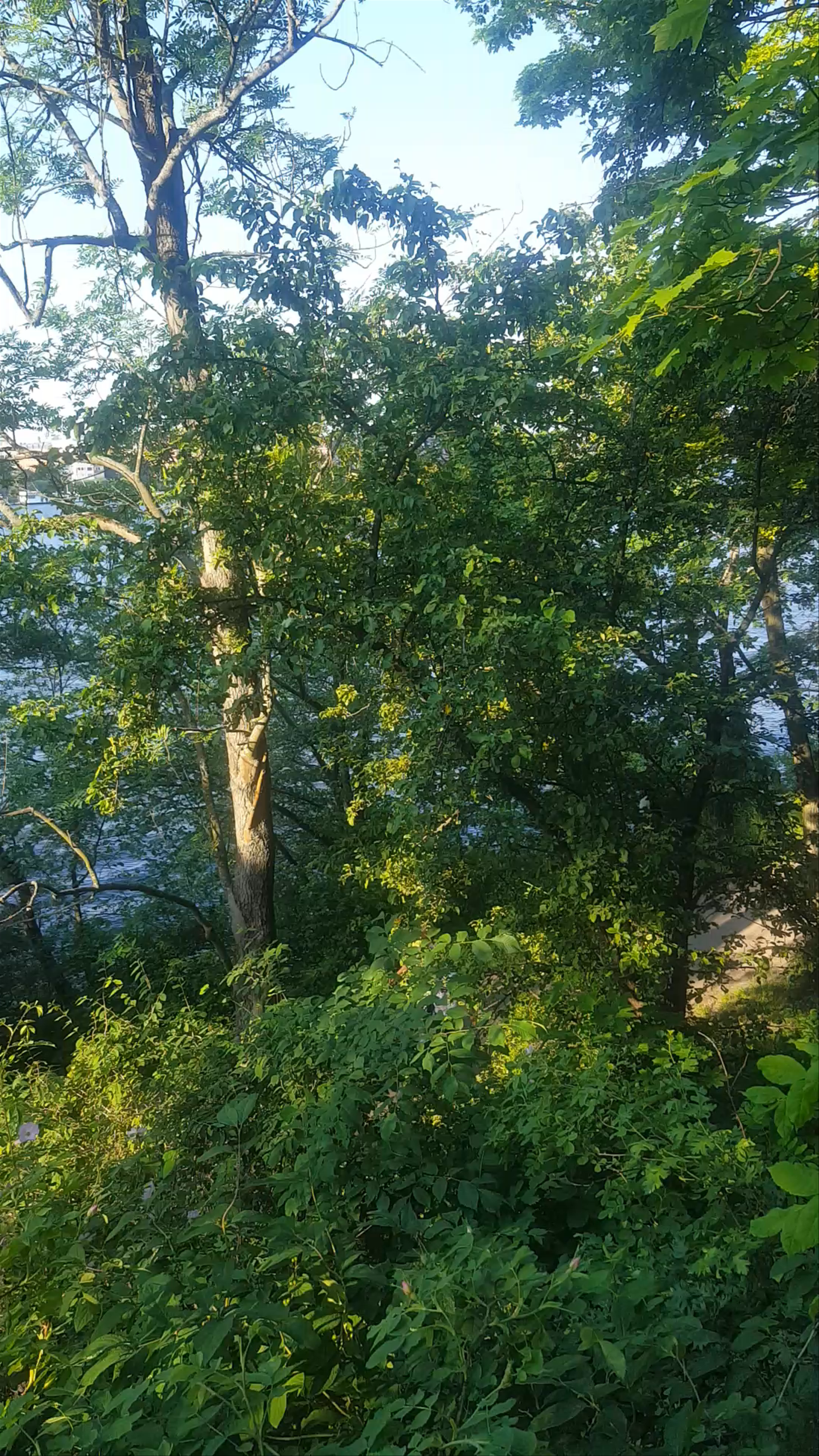 Långholmen Pop Up Parties