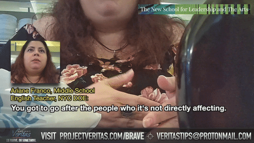 Video Thumbnail Loop