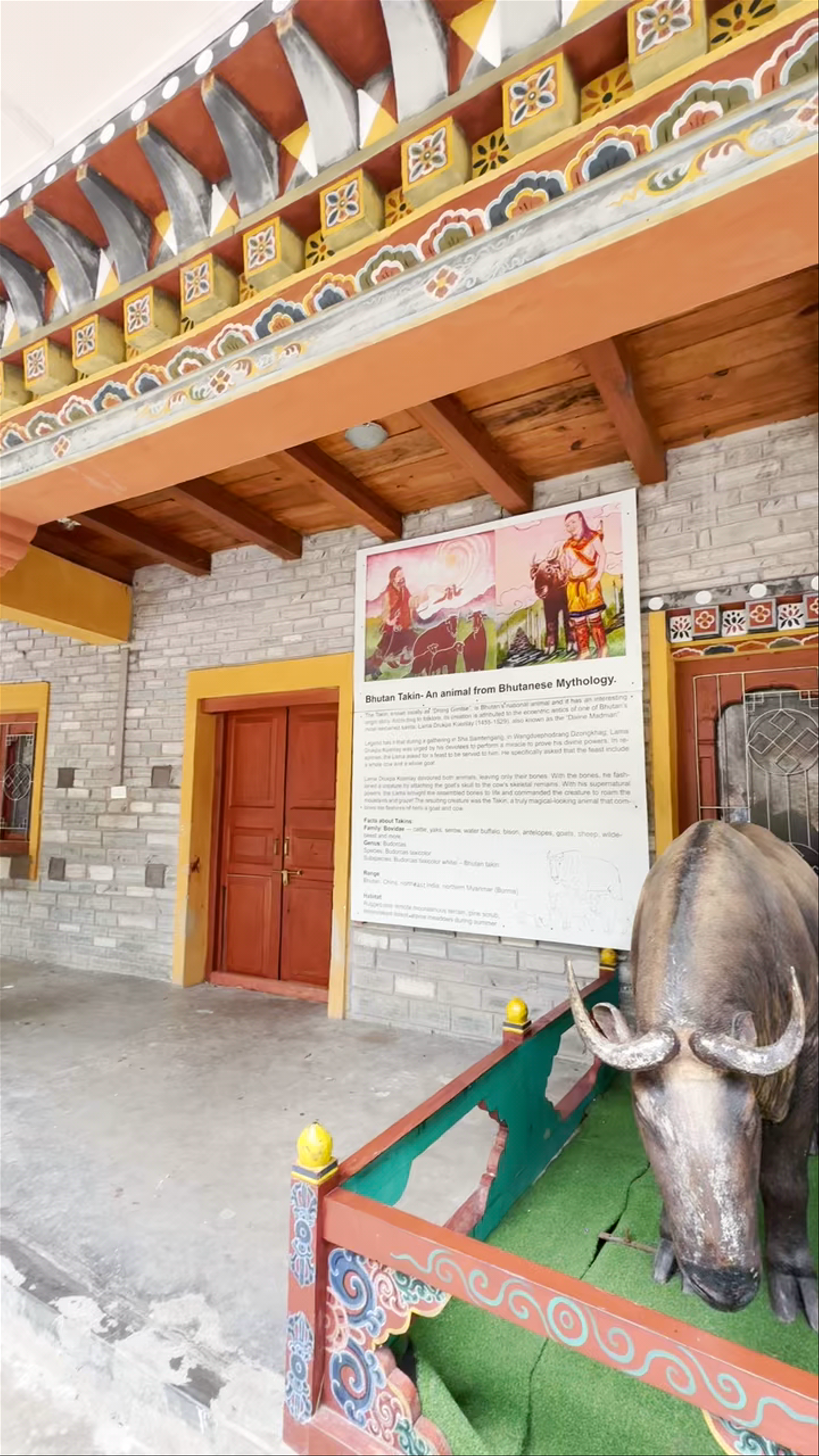 Royal Takin Preserve Motithang