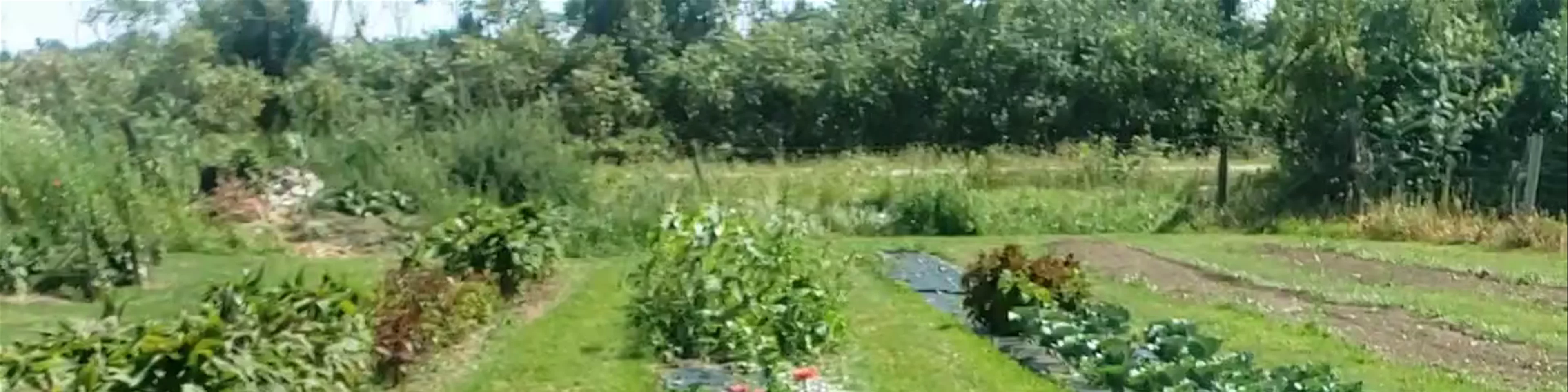 Makkink's Flower Farm