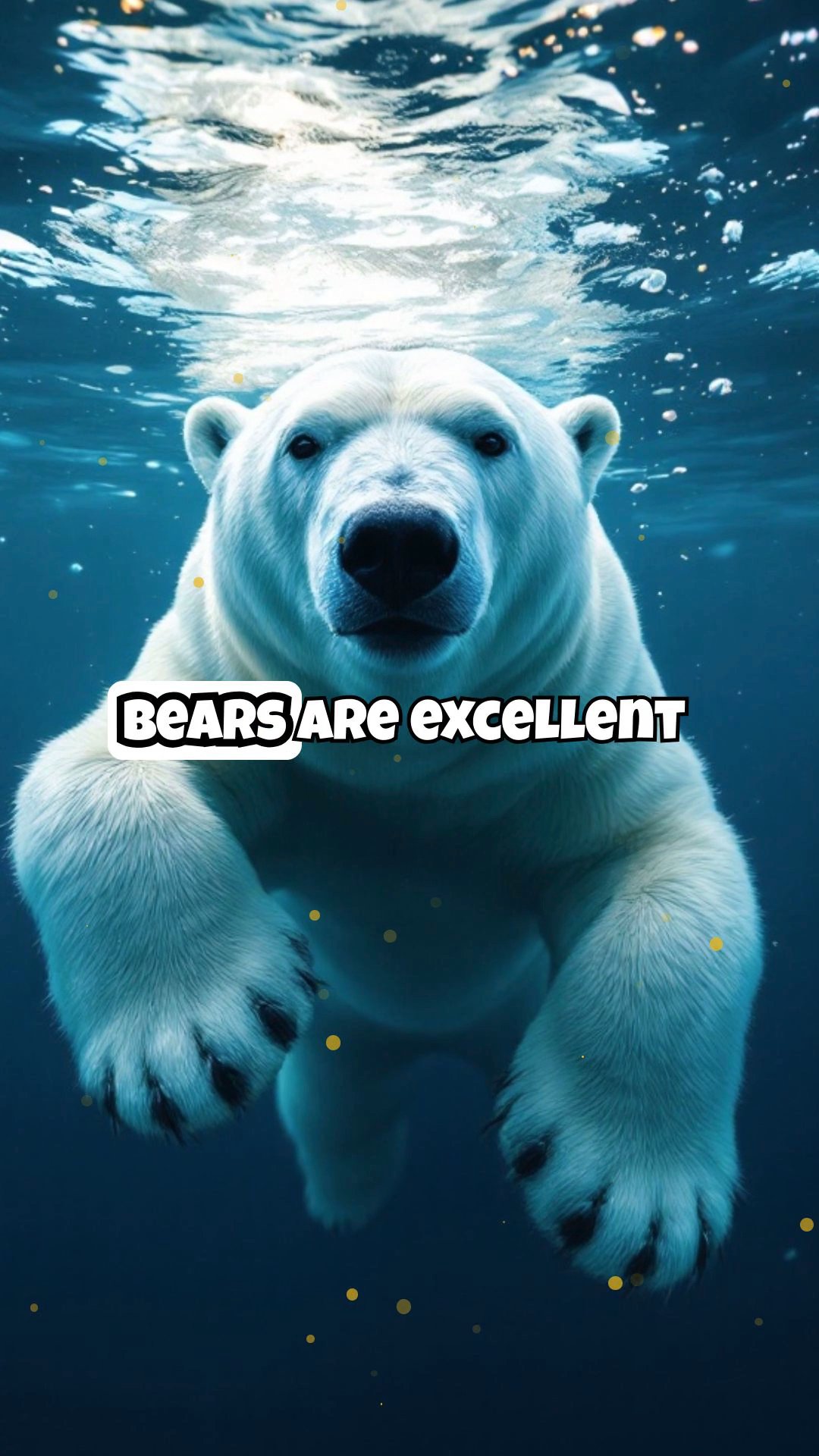 Amazing Polar Bear Facts