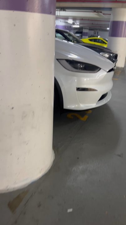 Capitol Shine  - Pick up day! - Auto Detailing Near Me - Arlington, Virginia