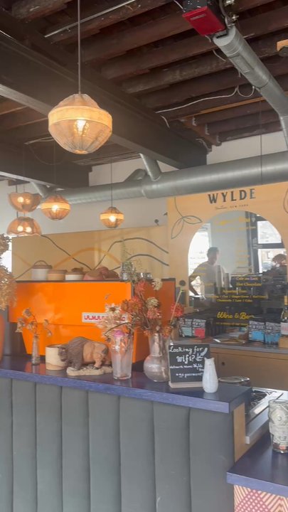 Wylde - Cafes Near Me - Hudson, New York