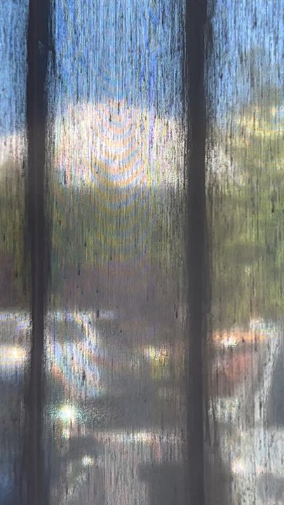 Best Western Plus Tree House - This is the Mountain View room actual view to help you determine if it's worth to extra fee. - Hotels Near Me - Mount Shasta, California