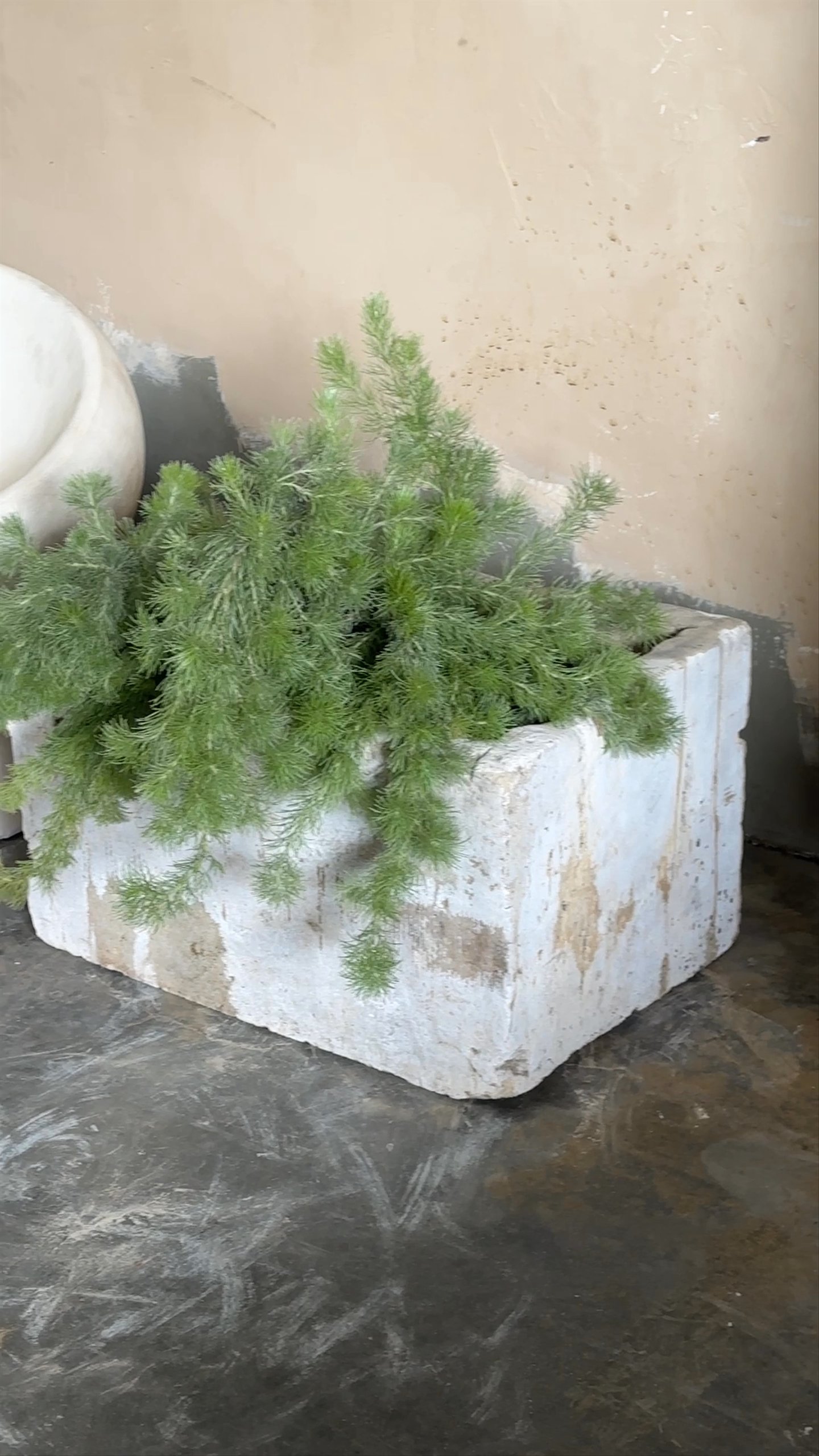 Stone Trough - 3