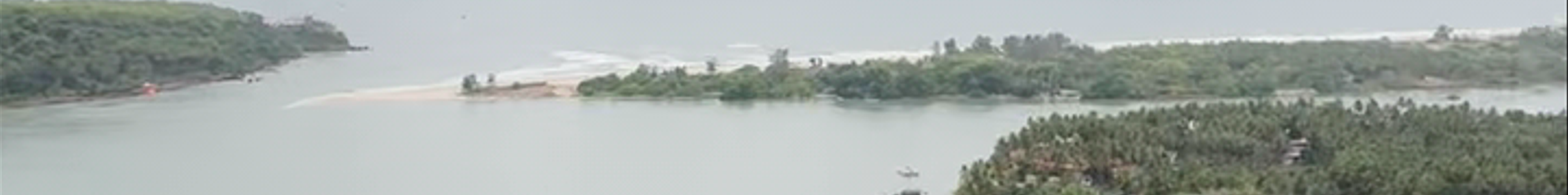 Tours & experiences in Betūl