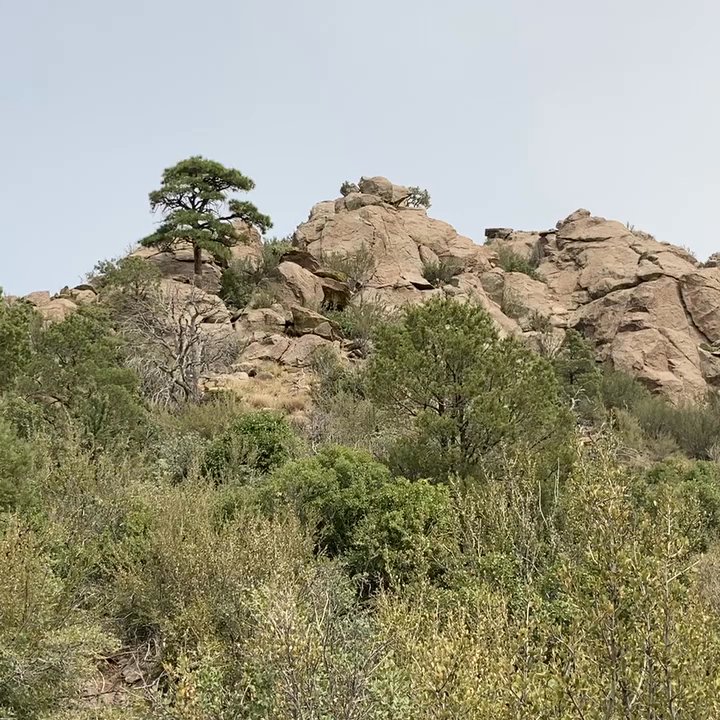 Thumb Butte Park - Bonito recorrido - Hiking Near Me - Prescott, Arizona