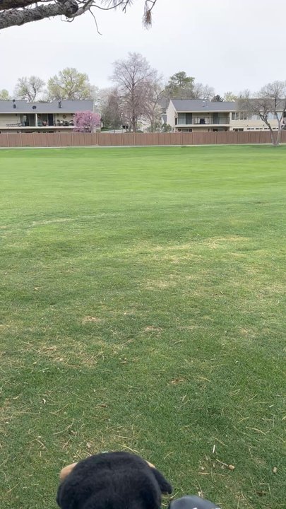 MICK RILEY GOLF COURSE - Updated June 2026 - 34 Photos & 15 Reviews ...