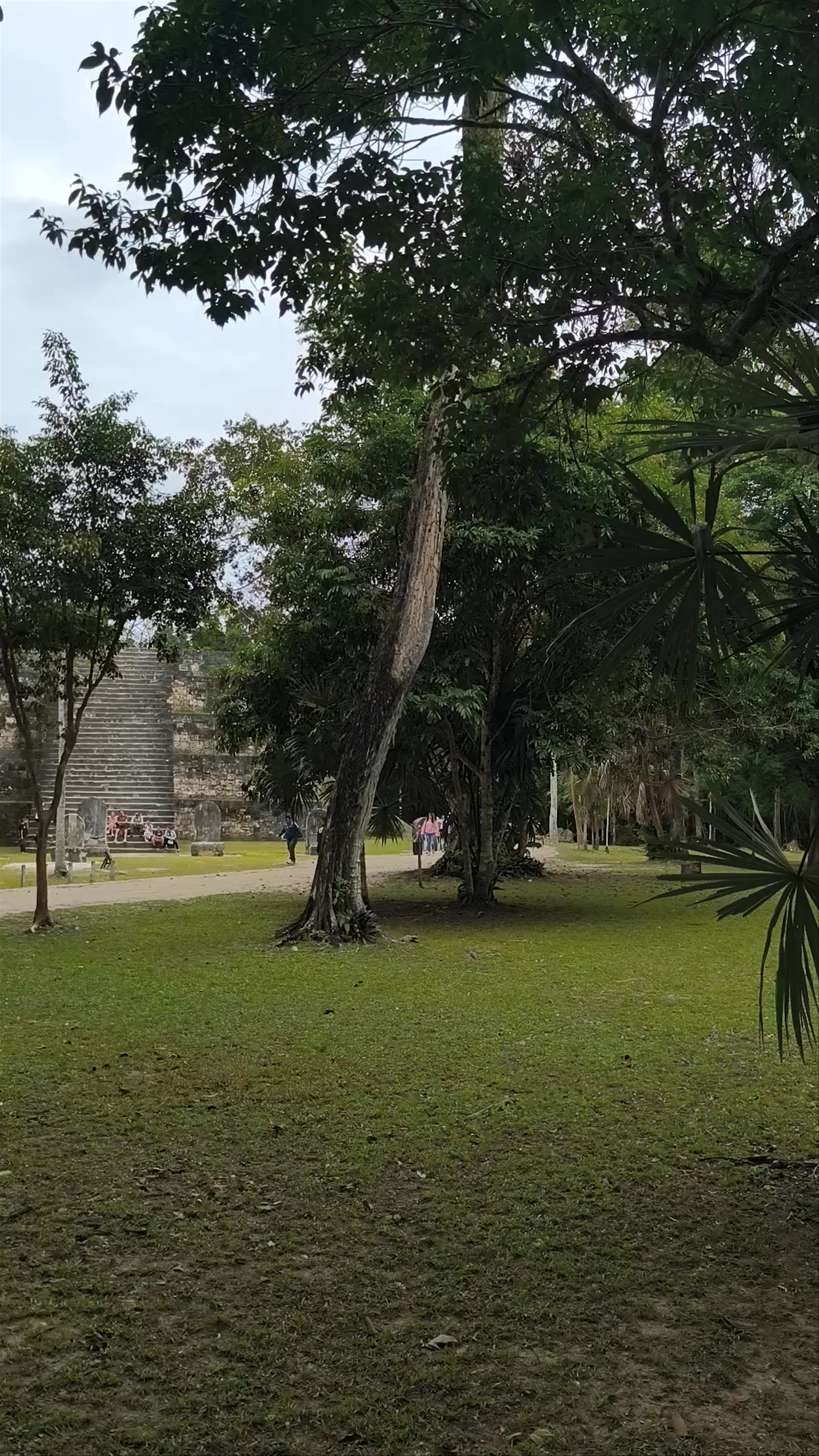 Grupo Q de Pirámides Gemelas