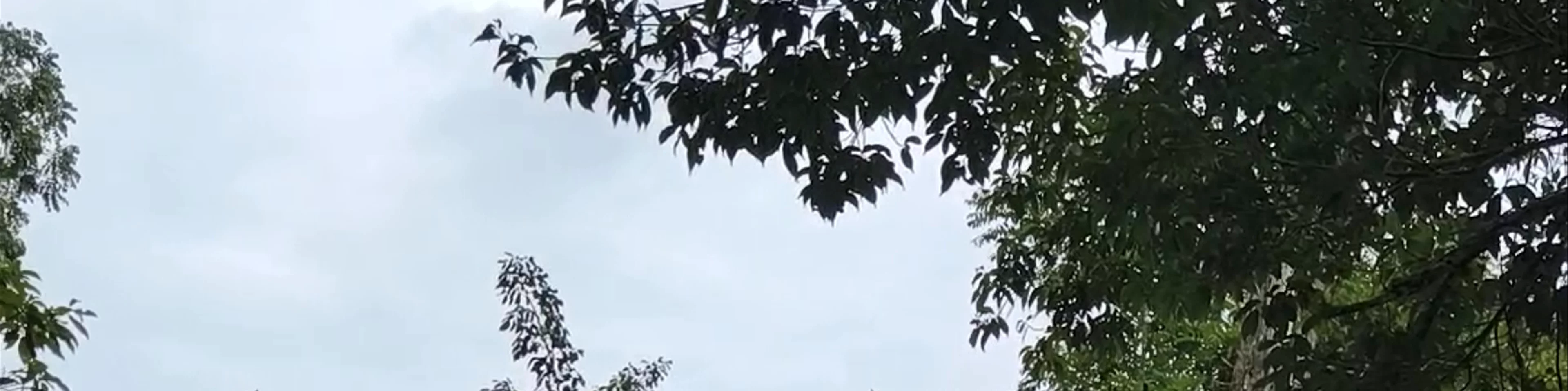 Grupo Q de Pirámides Gemelas