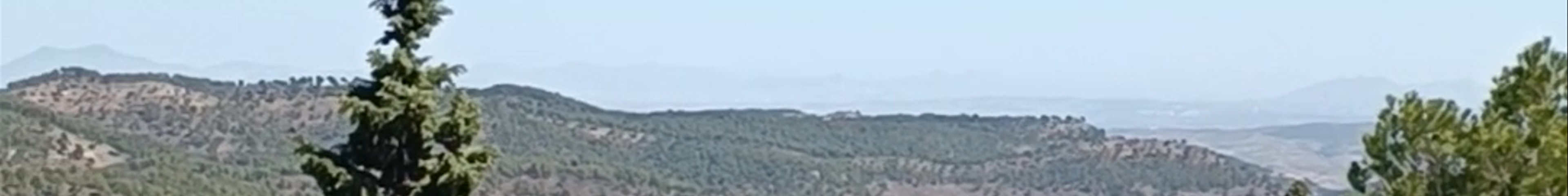 Tours & experiences in Lorca