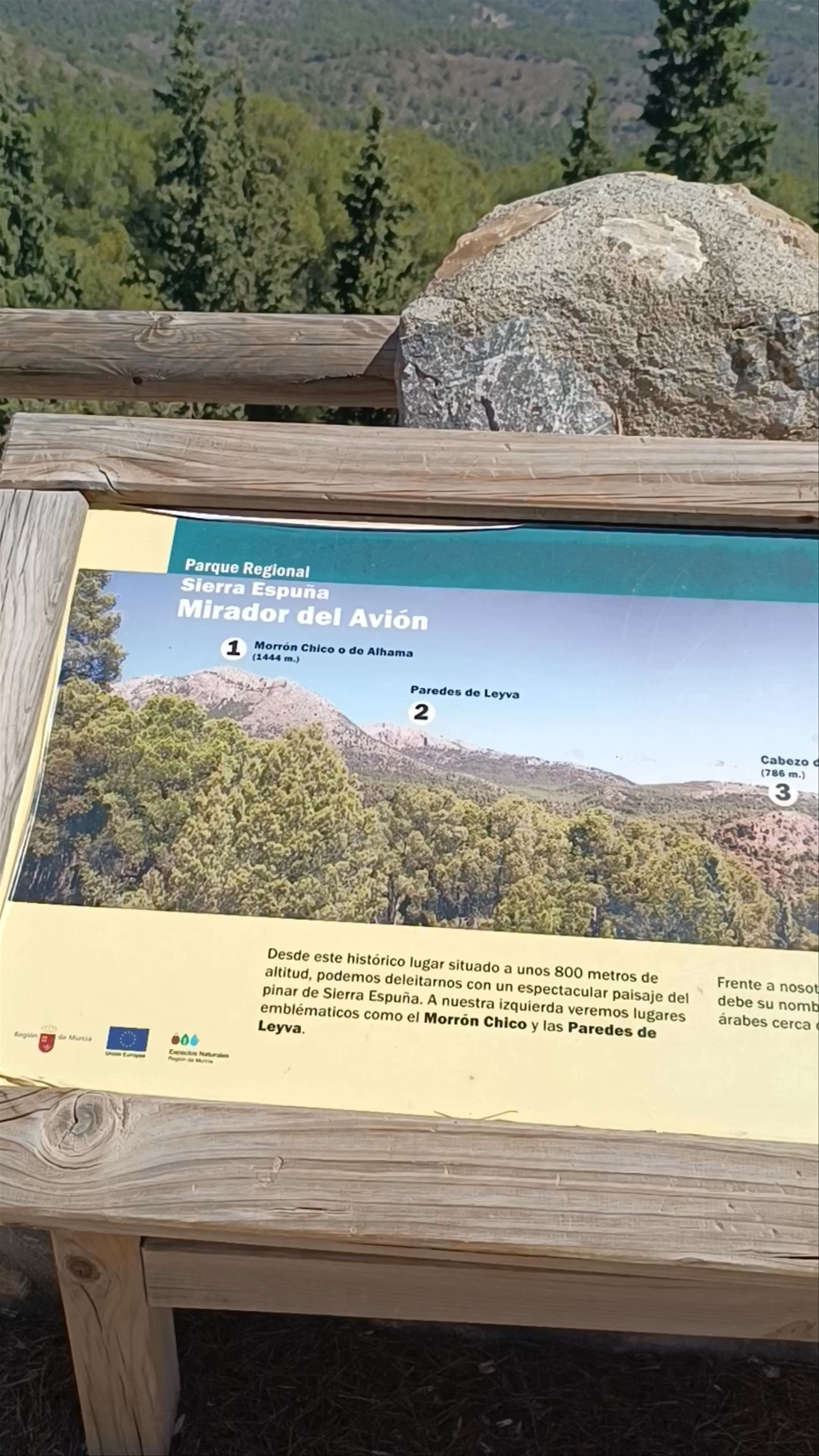 Mirador del Avión: Panoramic Forest Views in Sierra Espuña