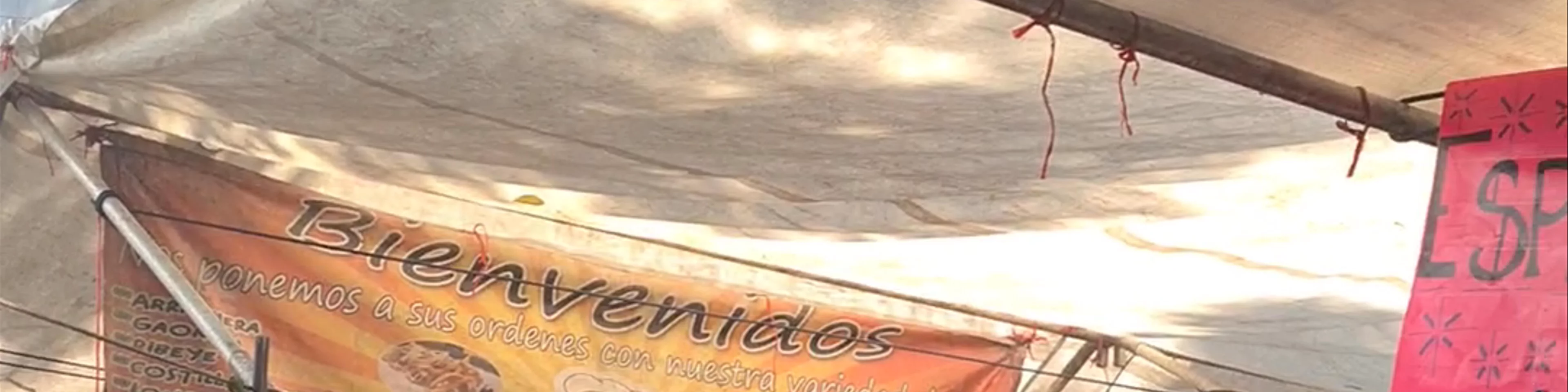 Condesa Tianguis
