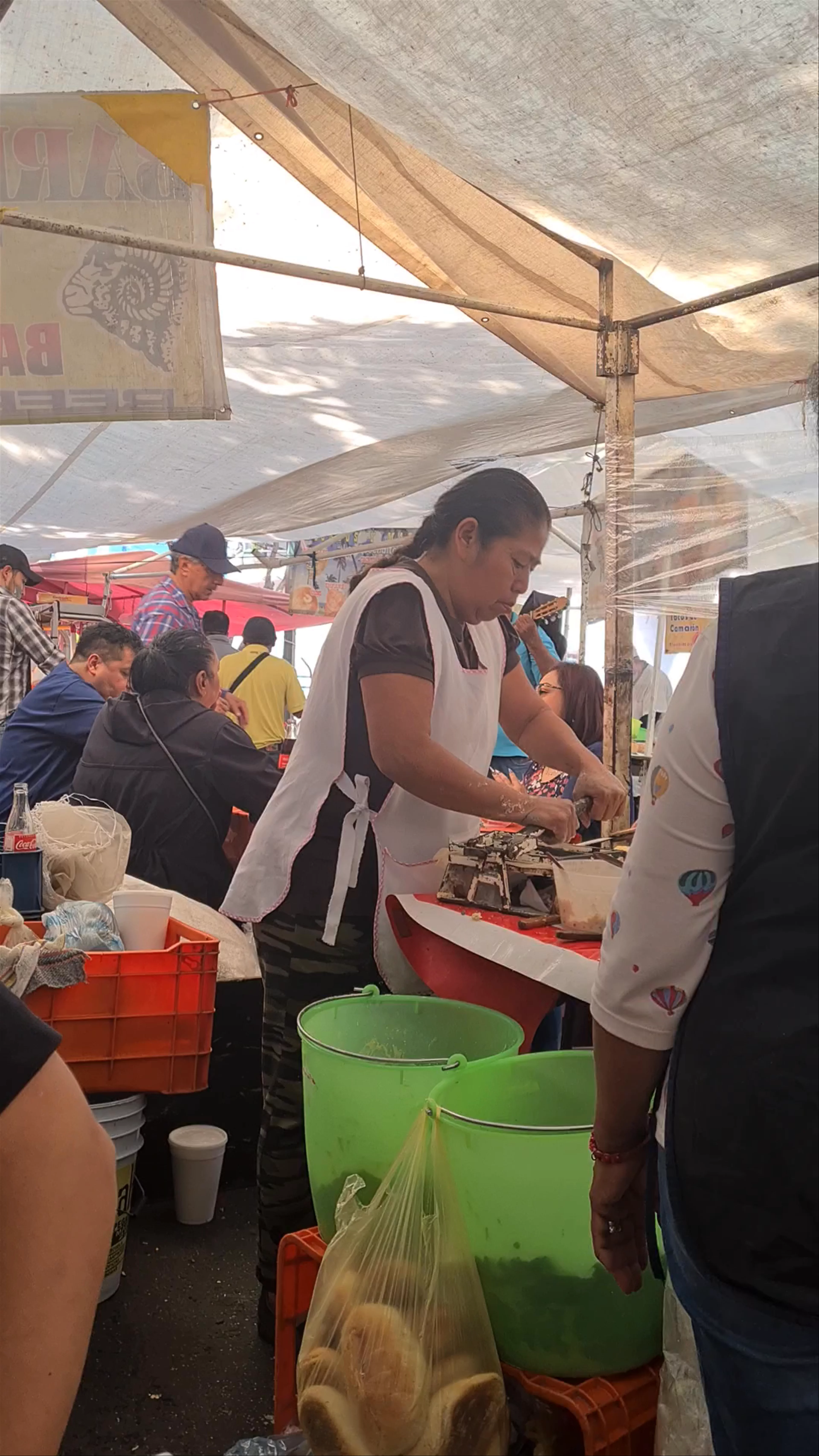 Condesa Tianguis