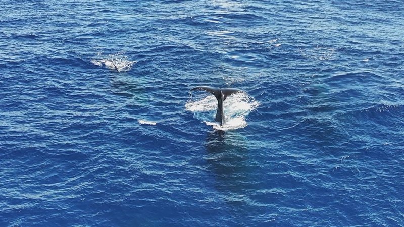 Untitled Work poster