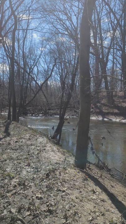 Dynamite Park - Parks Near Me - Wayne, Michigan