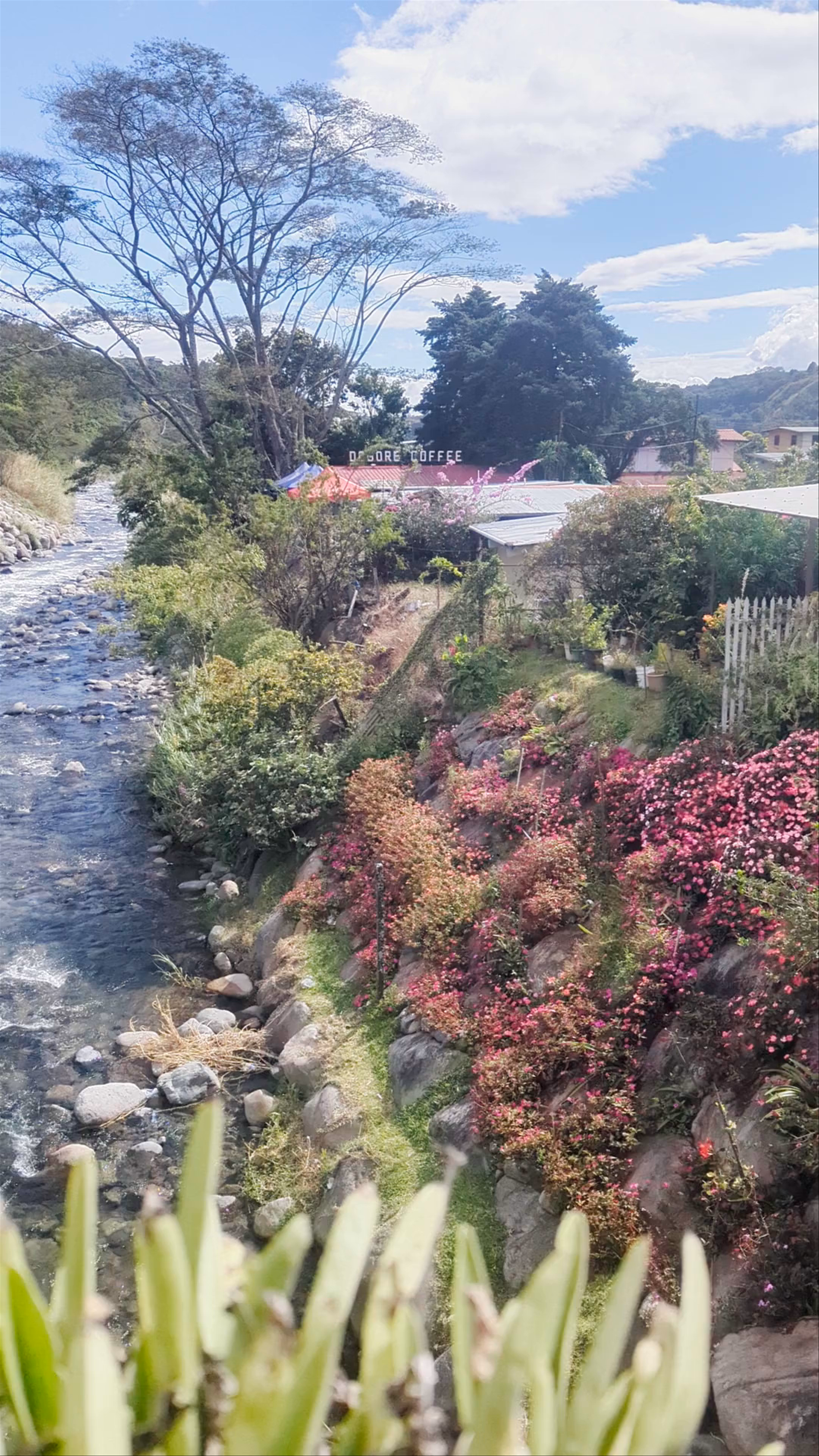 Boquete Flower & Coffee Fair