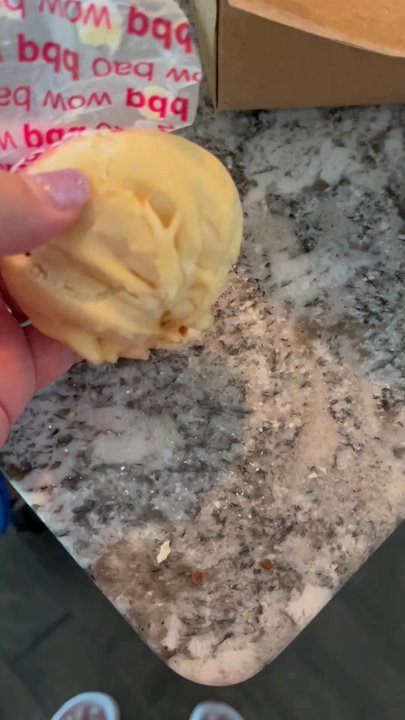 Wow Bao - Please check this bao it's rock I'm so mad - Dim Sum Near Me - Shawnee, Kansas