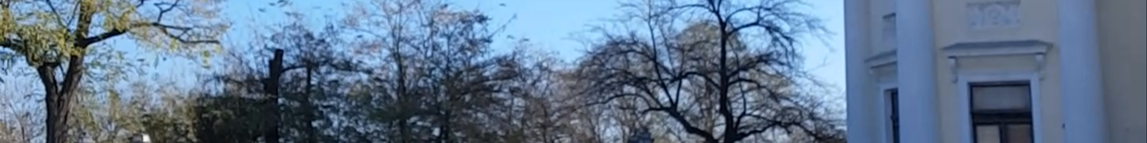 Tours & experiences in Odessa