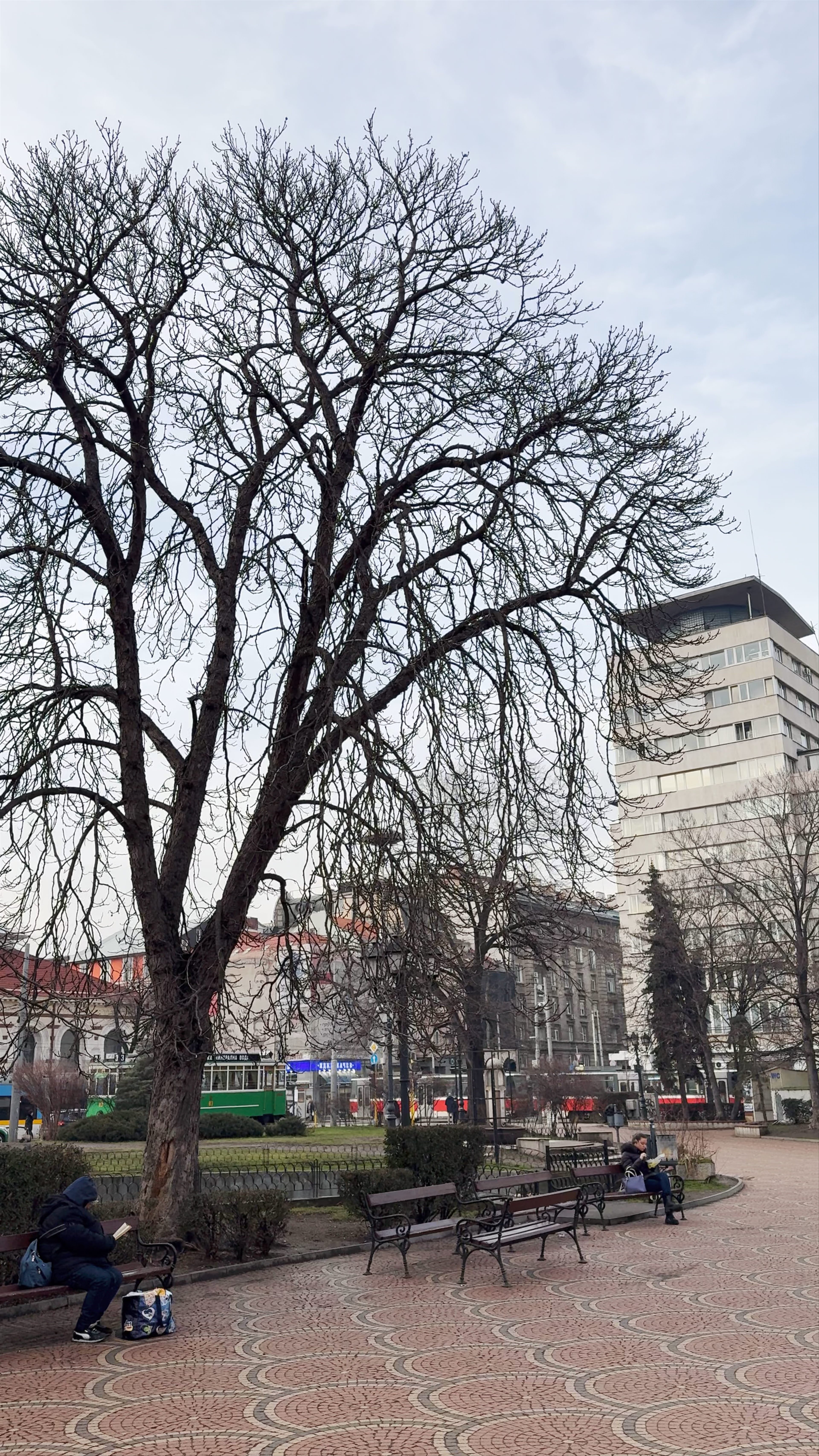 “Tsentralna banya” Park