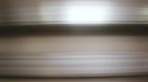 Gucci + Adidas - © Ryan Chappell