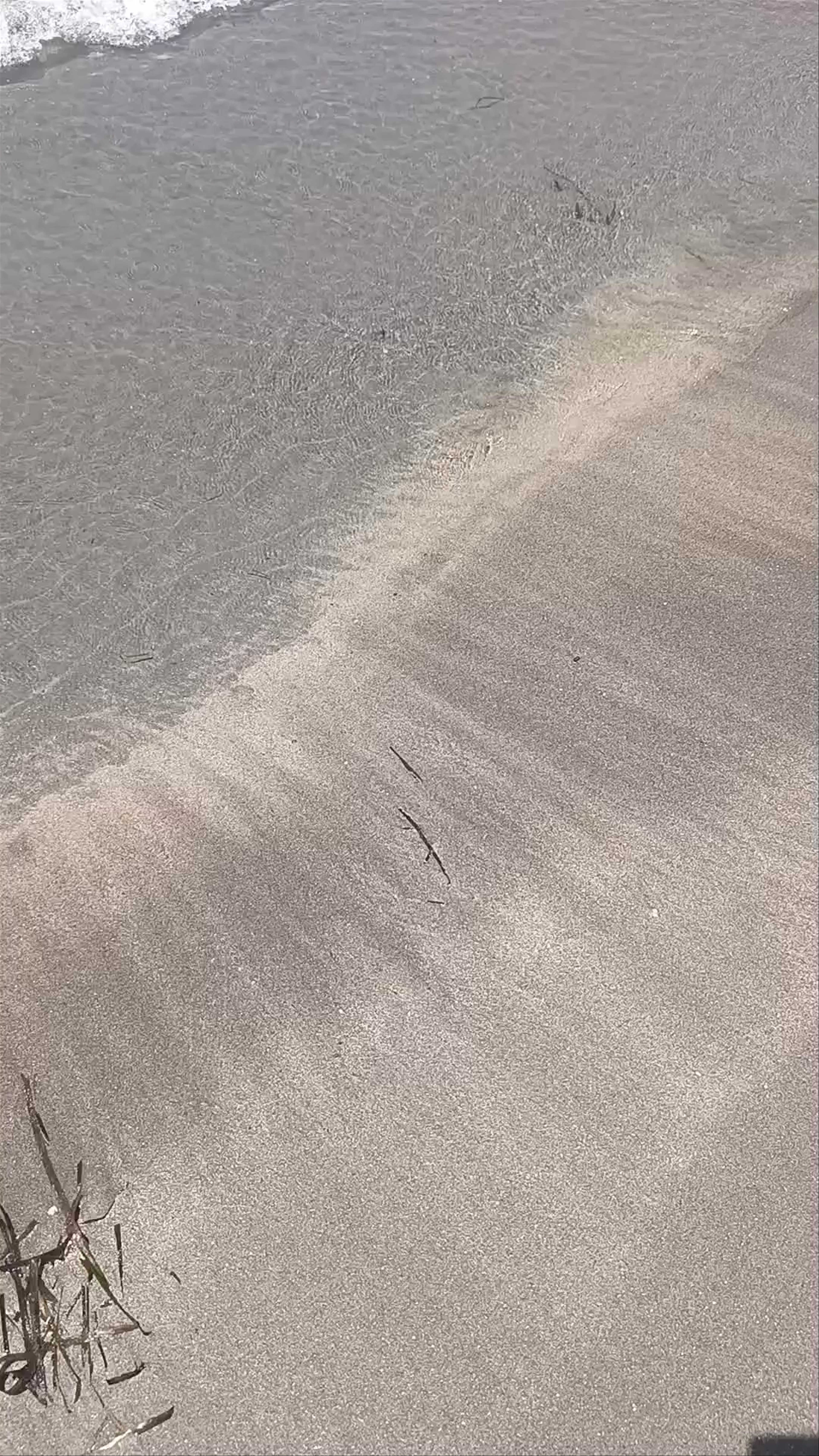 Playa del Siscal