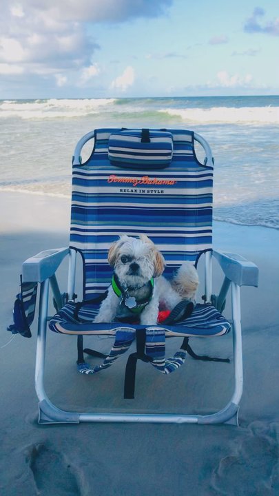 Andy Romano Beachfront Park - Water stay away from Me. Thanks, Mocha Coconut - Parks Near Me - Ormond Beach, Florida