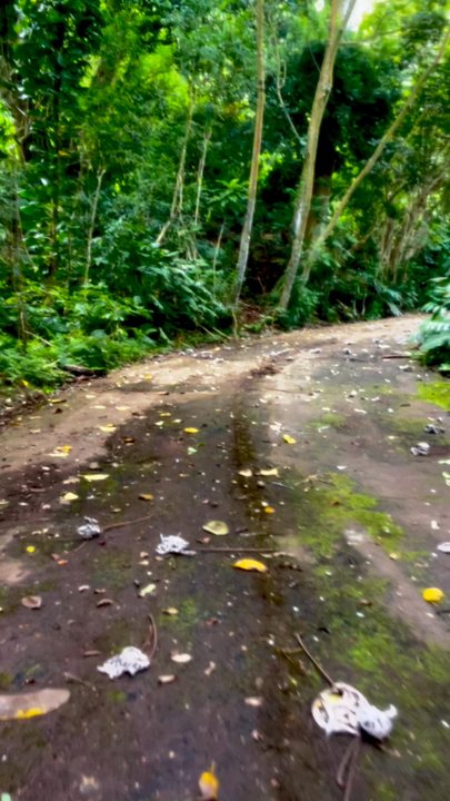 Old Pali Road - Landmarks & Historical Buildings Near Me - Honolulu, Hawaii