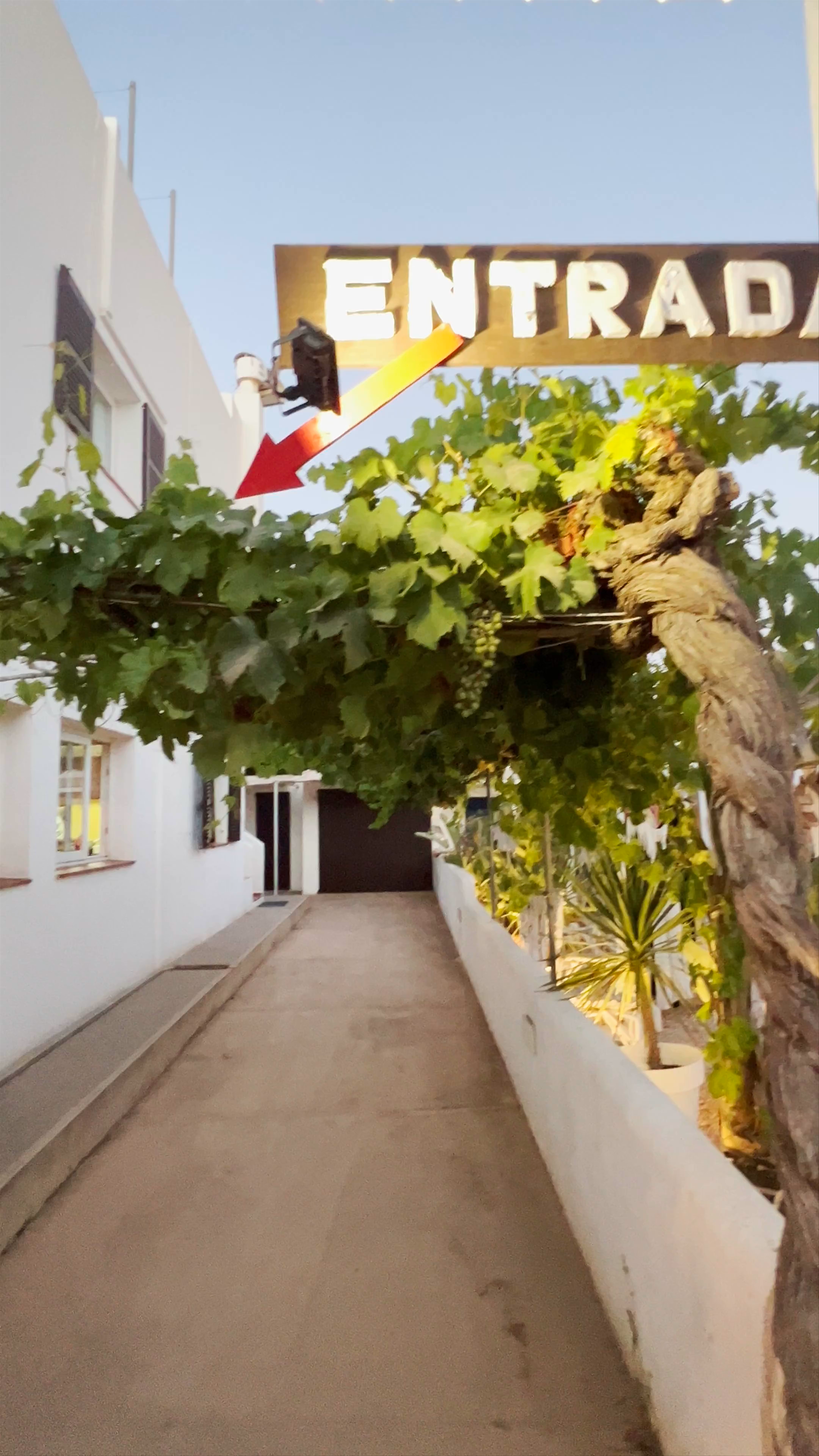 Pizzeria Aigua i Farina