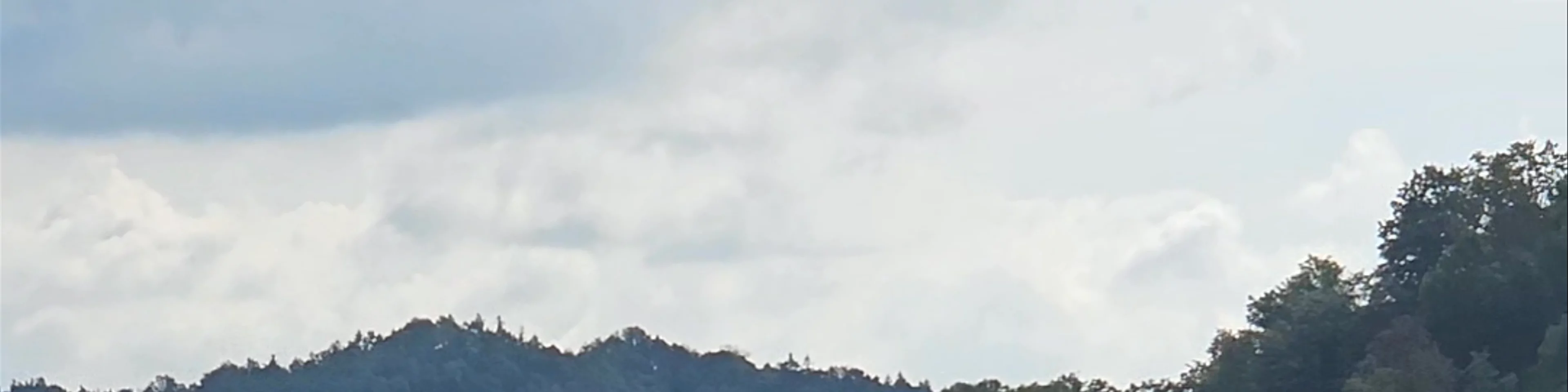 Nebotičnik - Skyscraper