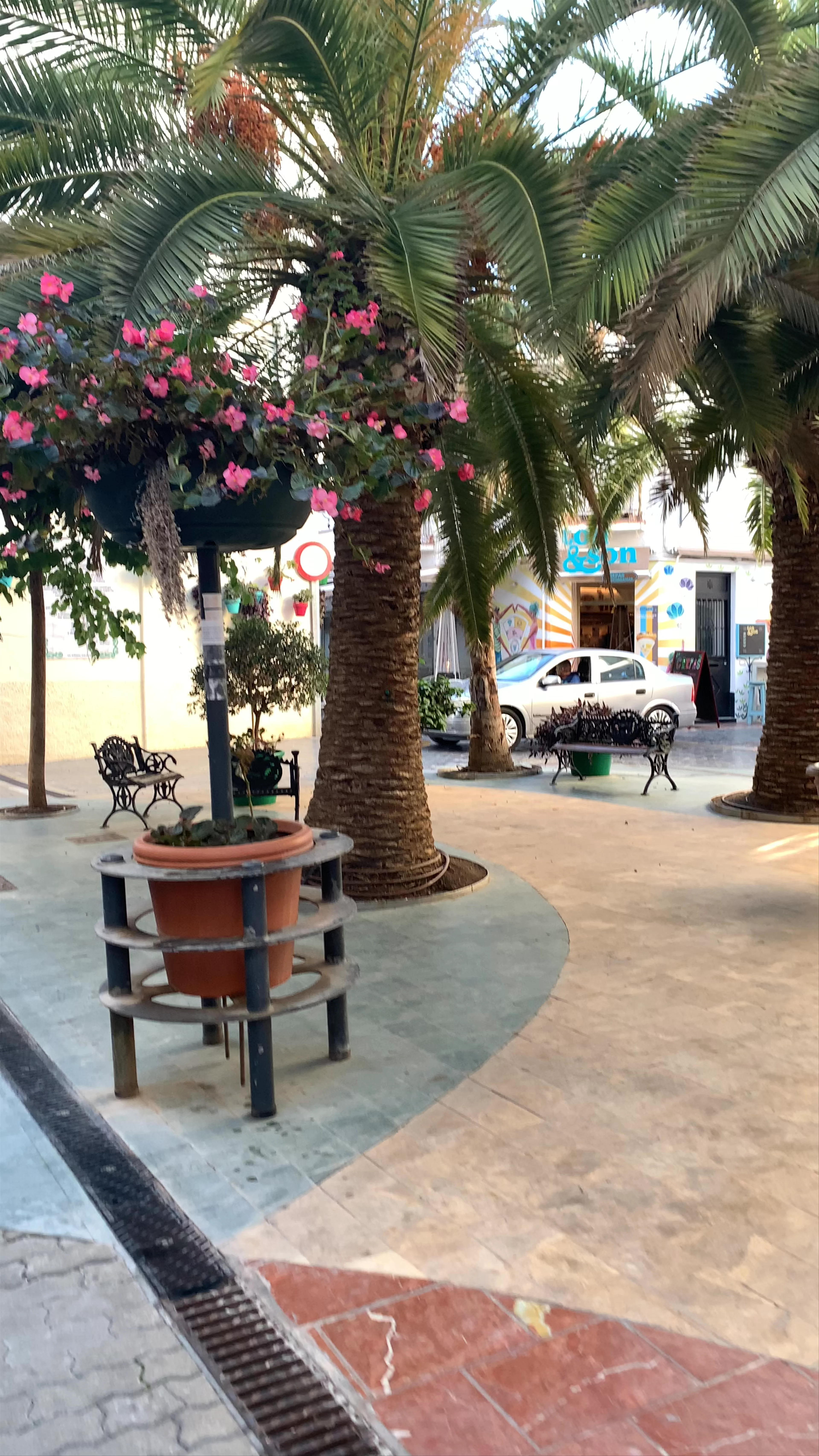 Calle Real