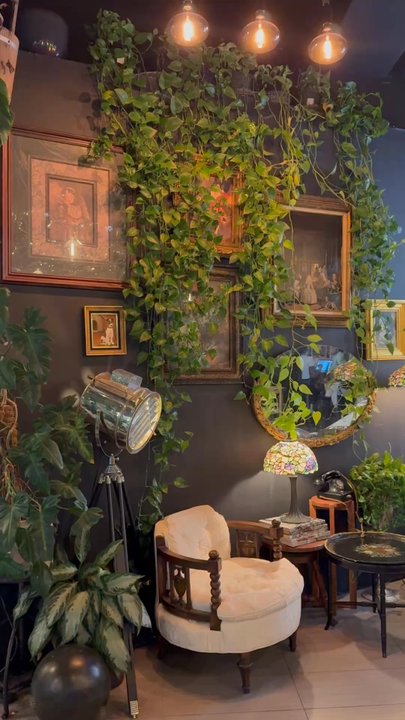 Leafy - Such a cool vibe here! - Asian Fusion Near Me - Pembroke Pines, Florida