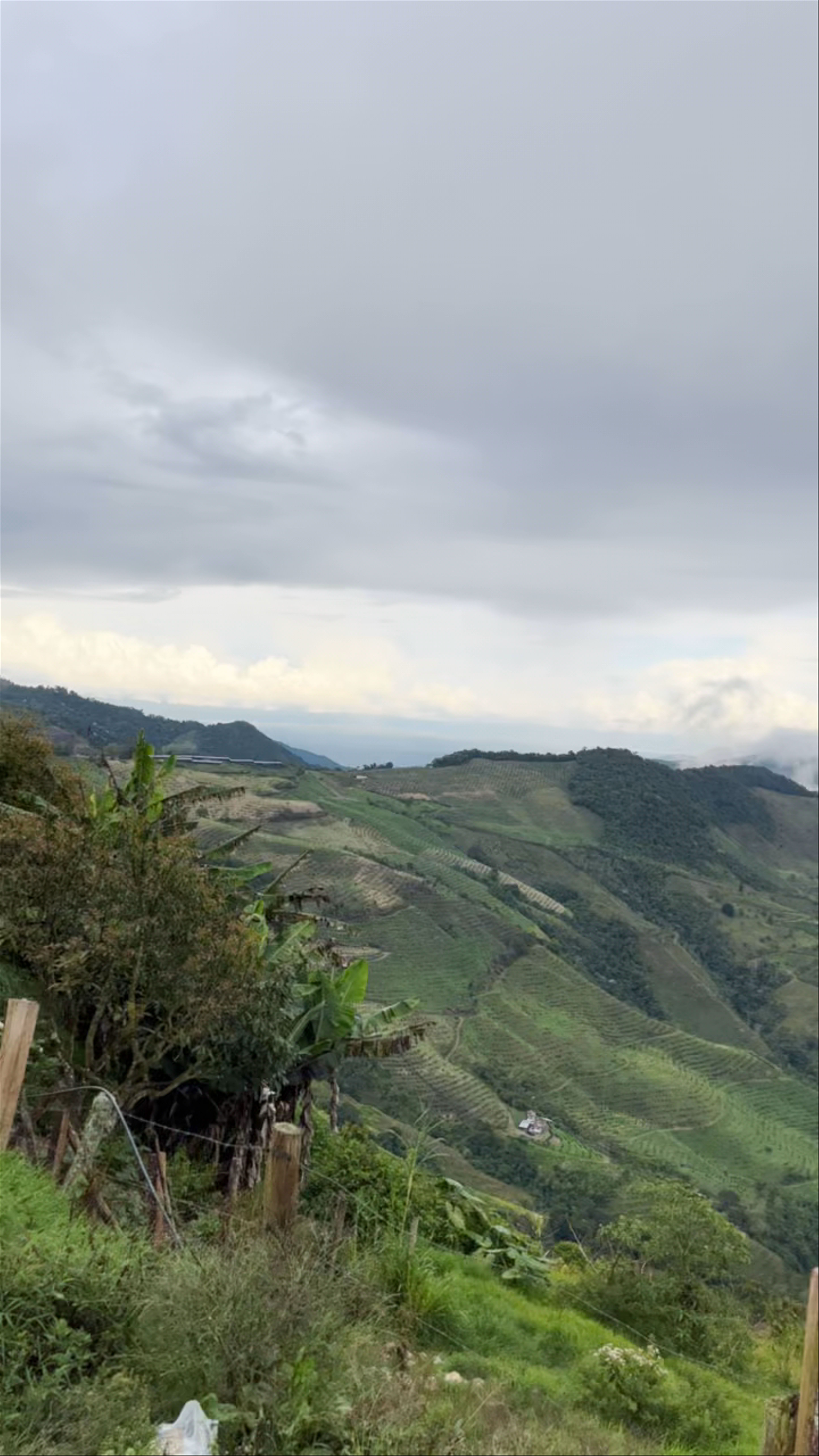 El Cairo Reserva Campestre