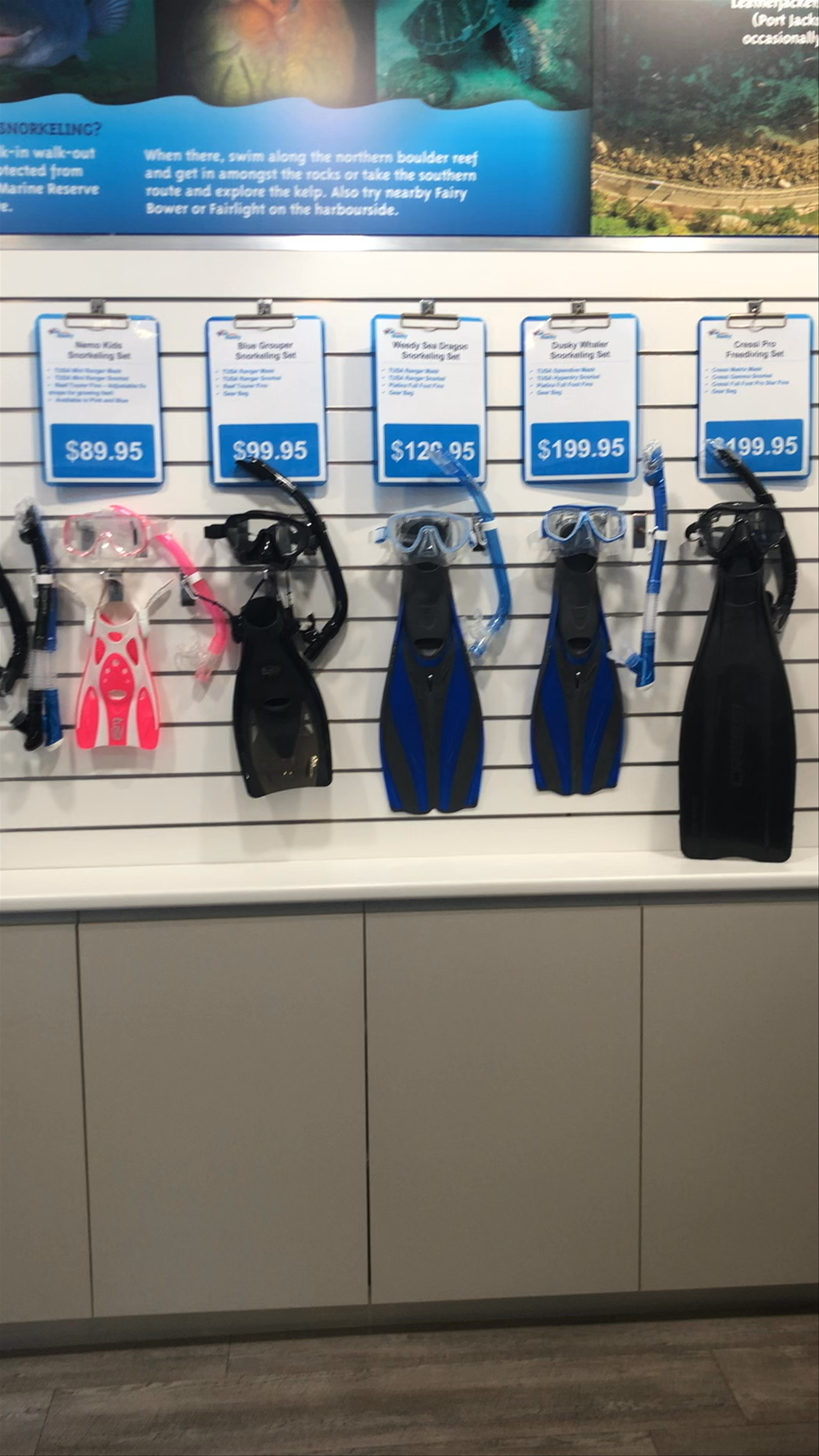 Dive Centre Manly: Gear Up for Underwater Adventures in Sydney