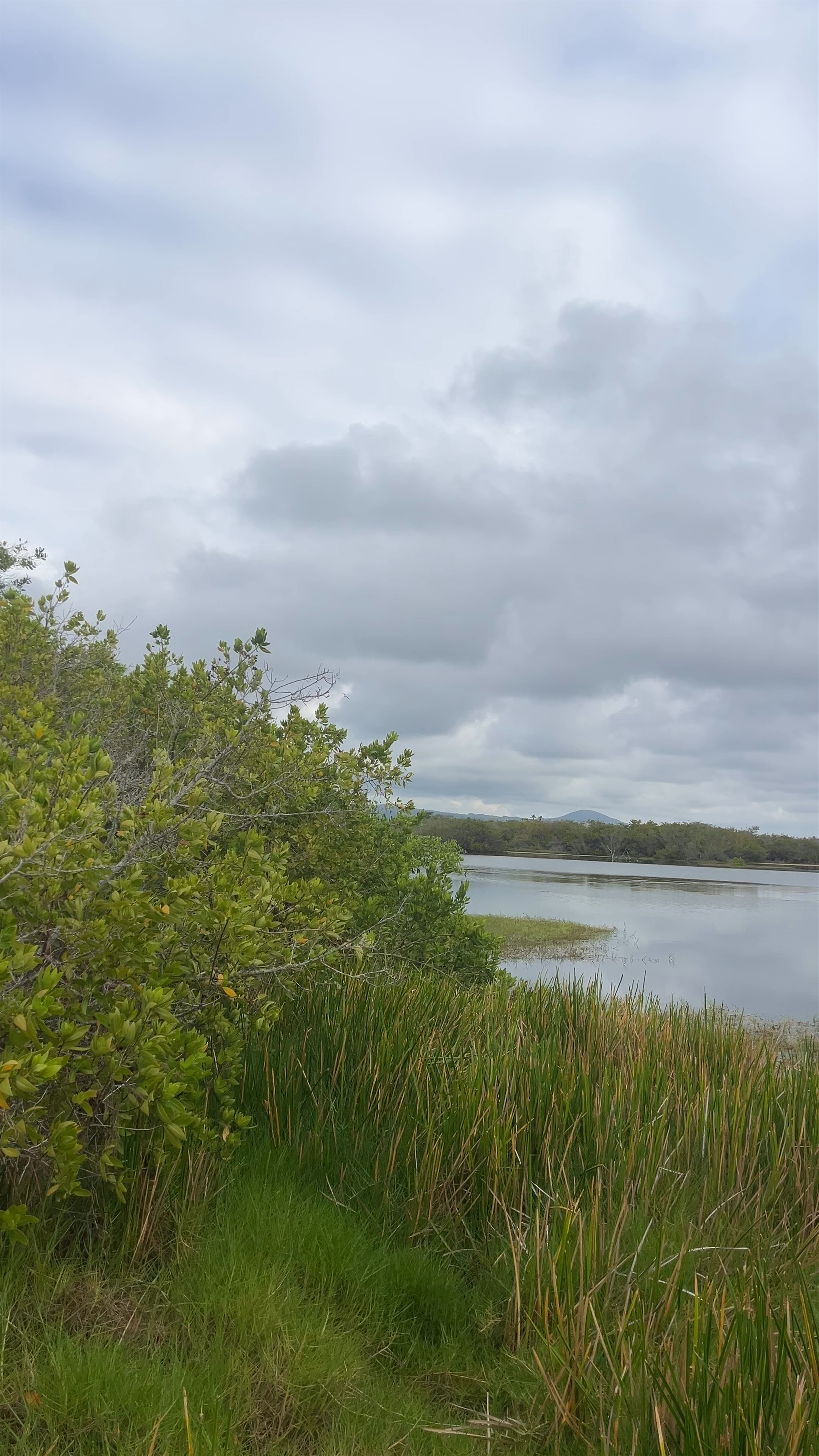 Pozas Salinas de Puerto Villamil: Serene Saltwater Lagoons in Galápagos