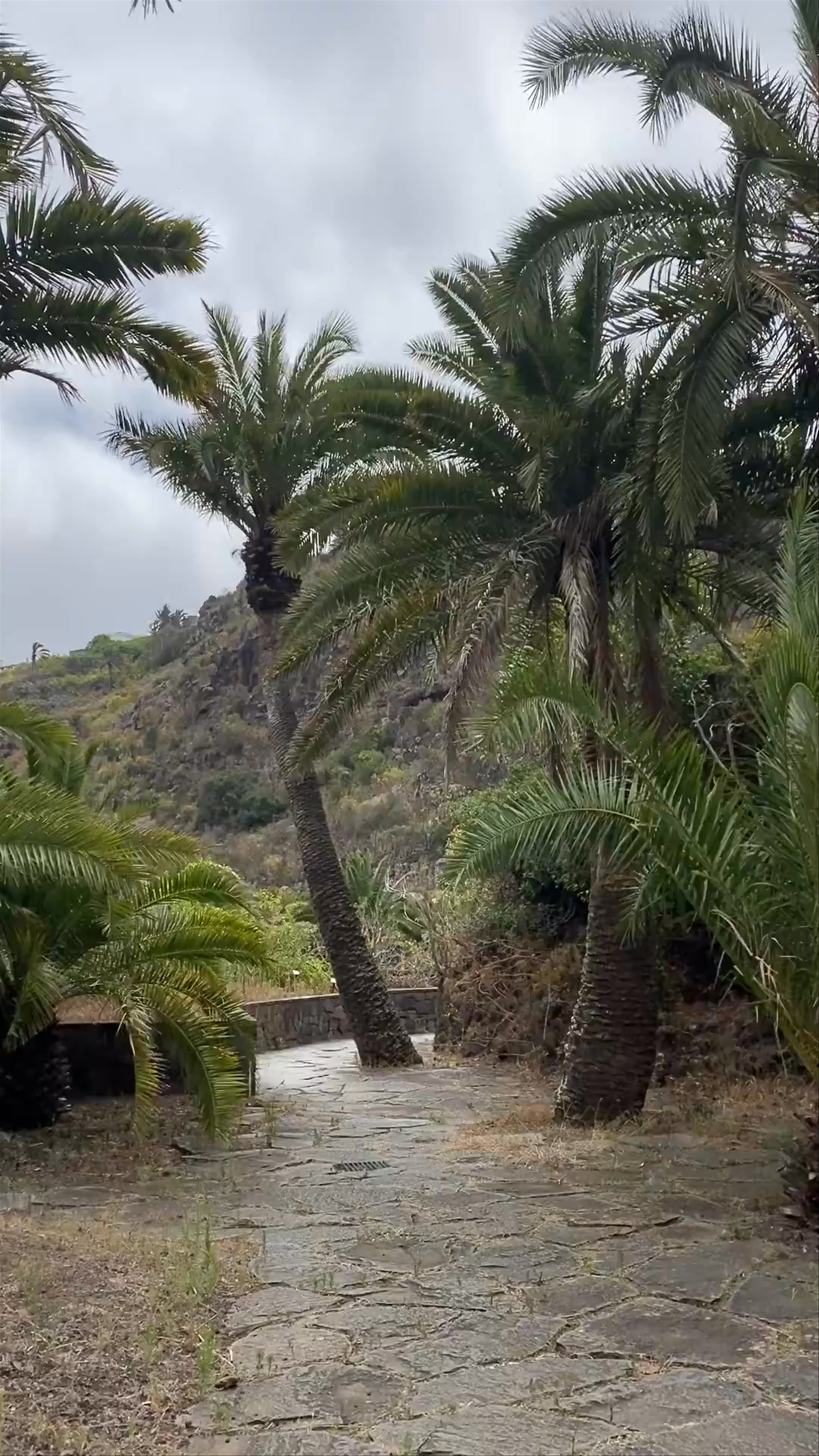 Jardin Botanico